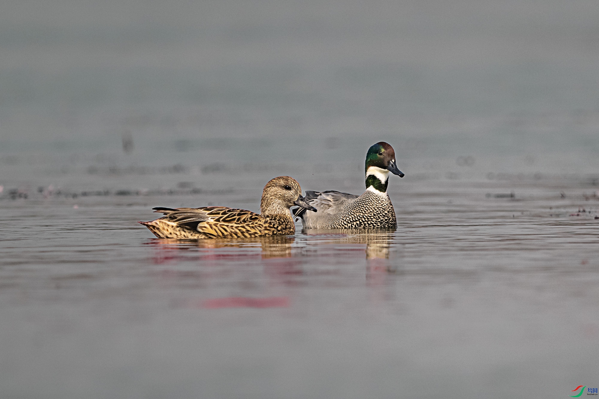 DSC_3559.jpg