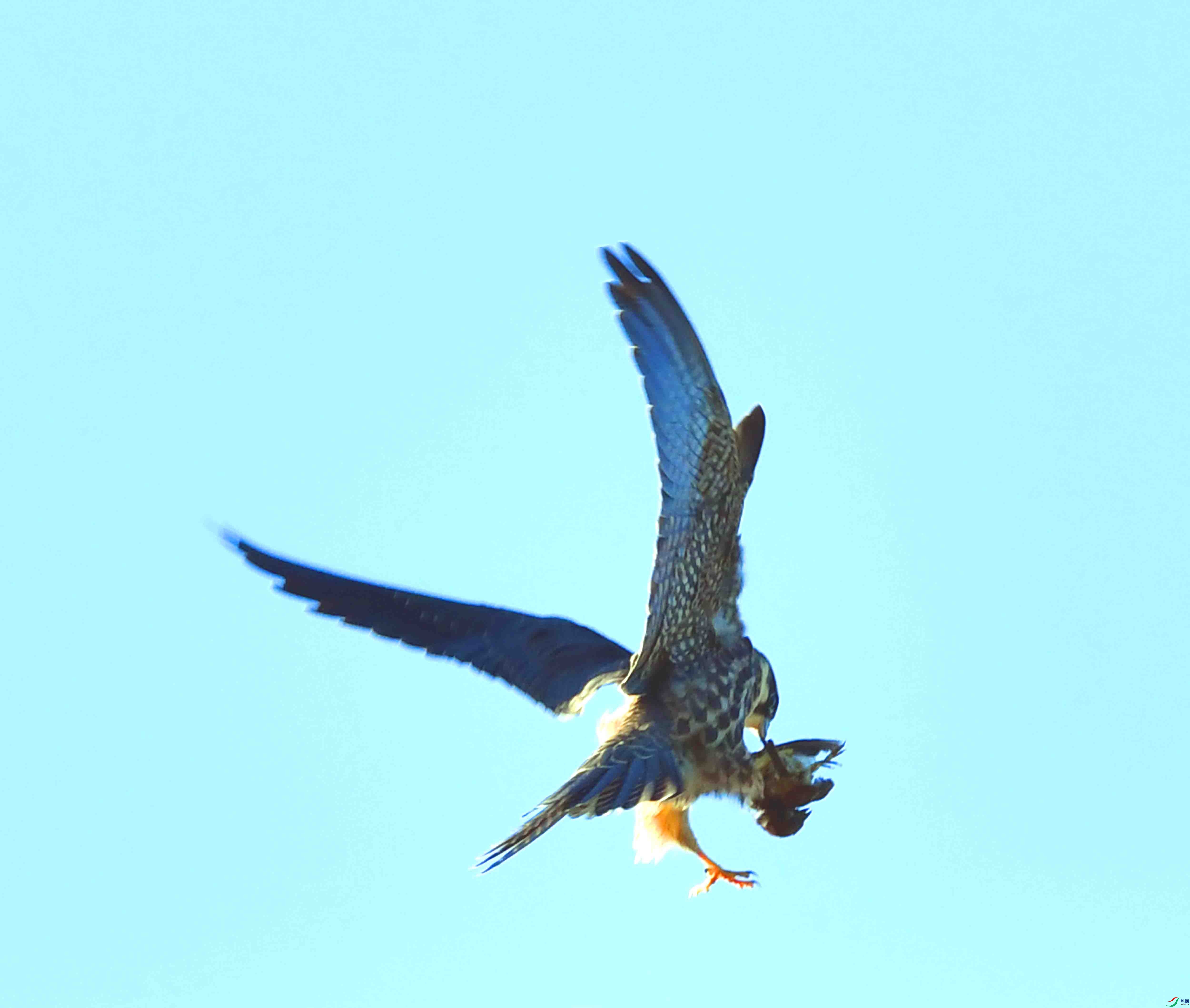 DSC_2724.JPG
