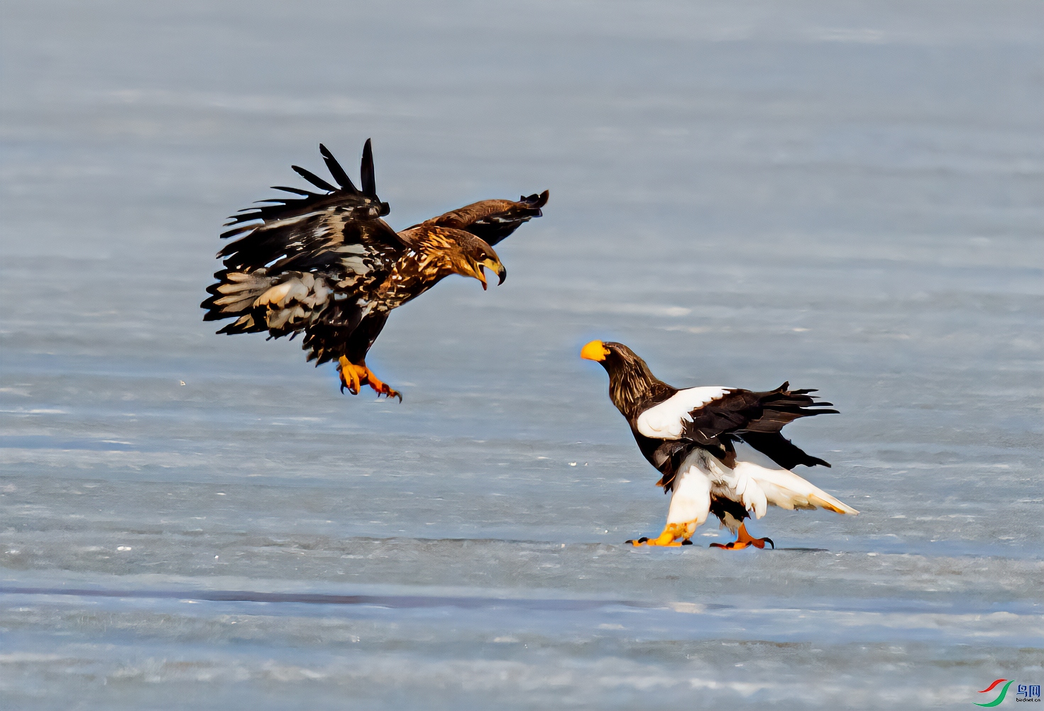 _DSC2944-11.jpg