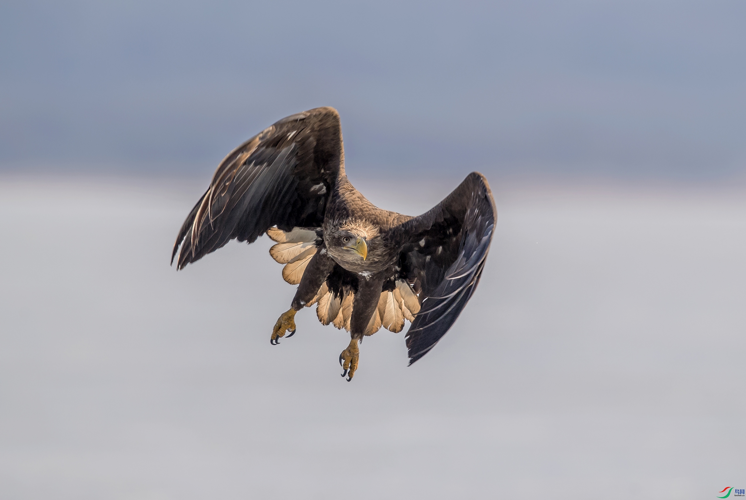 DSC_3887a.jpg