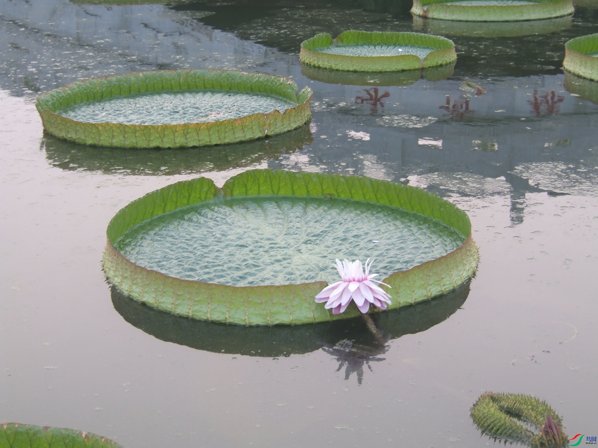 DSCF2231.jpg