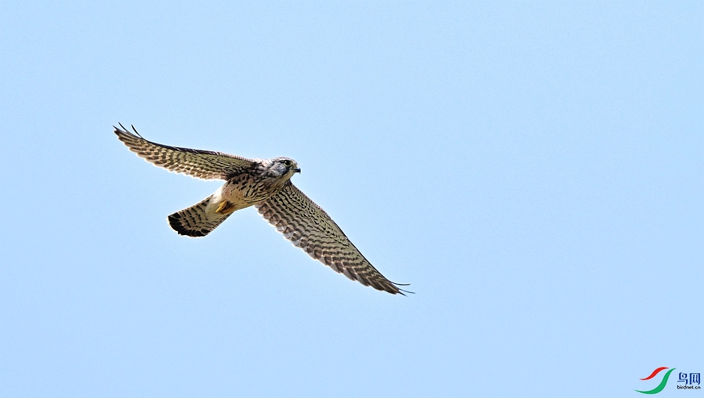 DSC_0021.JPG
