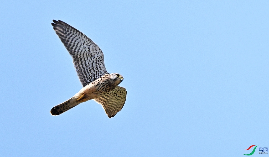 DSC_0031.JPG