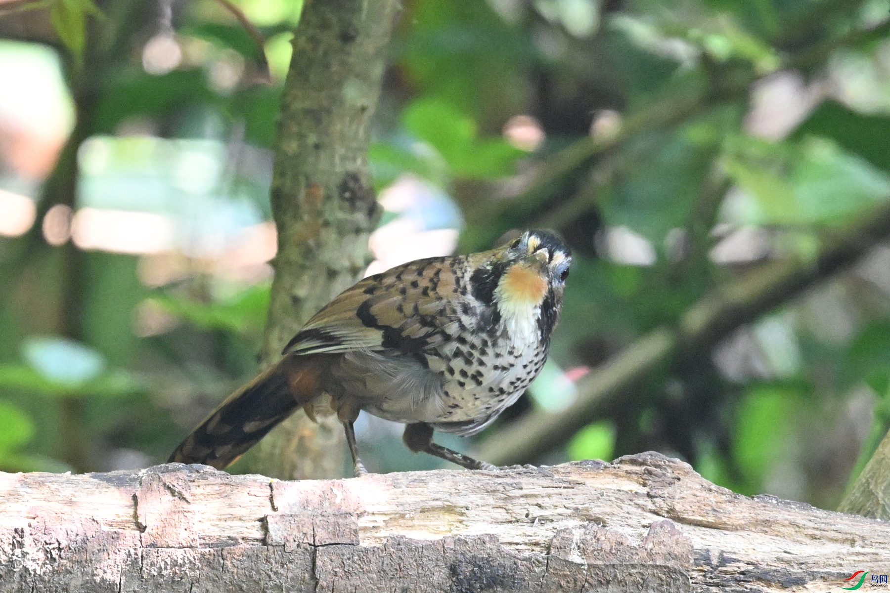 DSC_6327.JPG