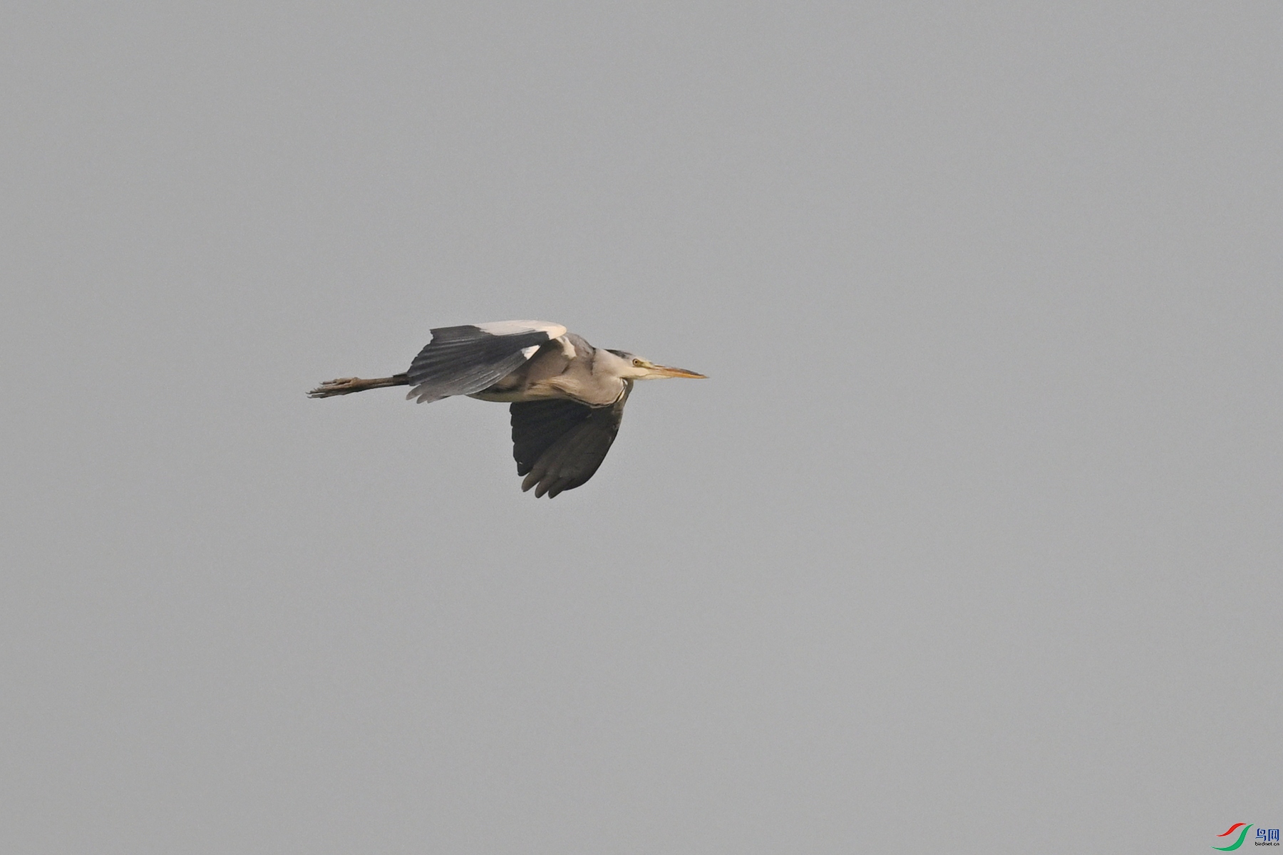 DSC_6272.JPG