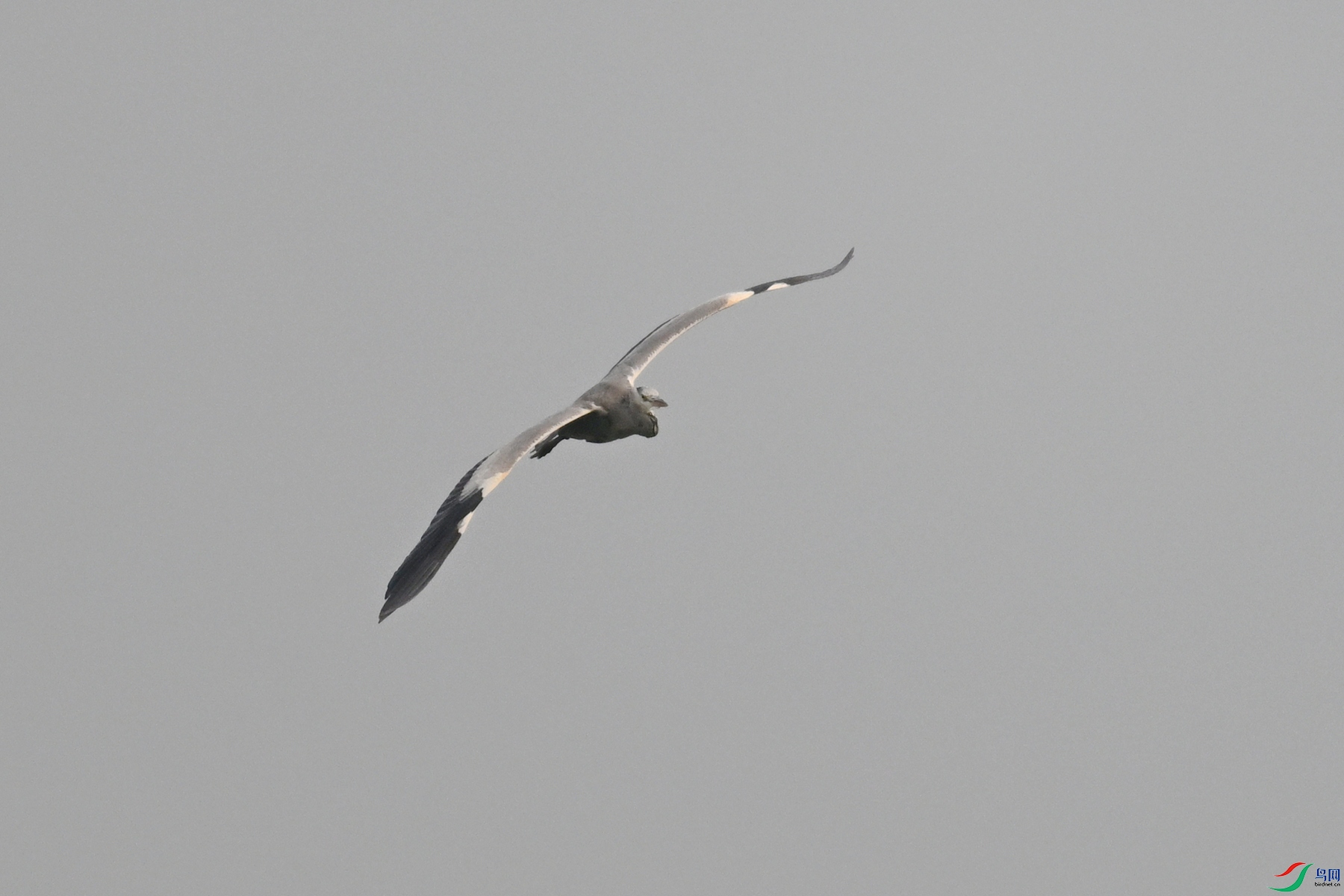 DSC_6276.JPG