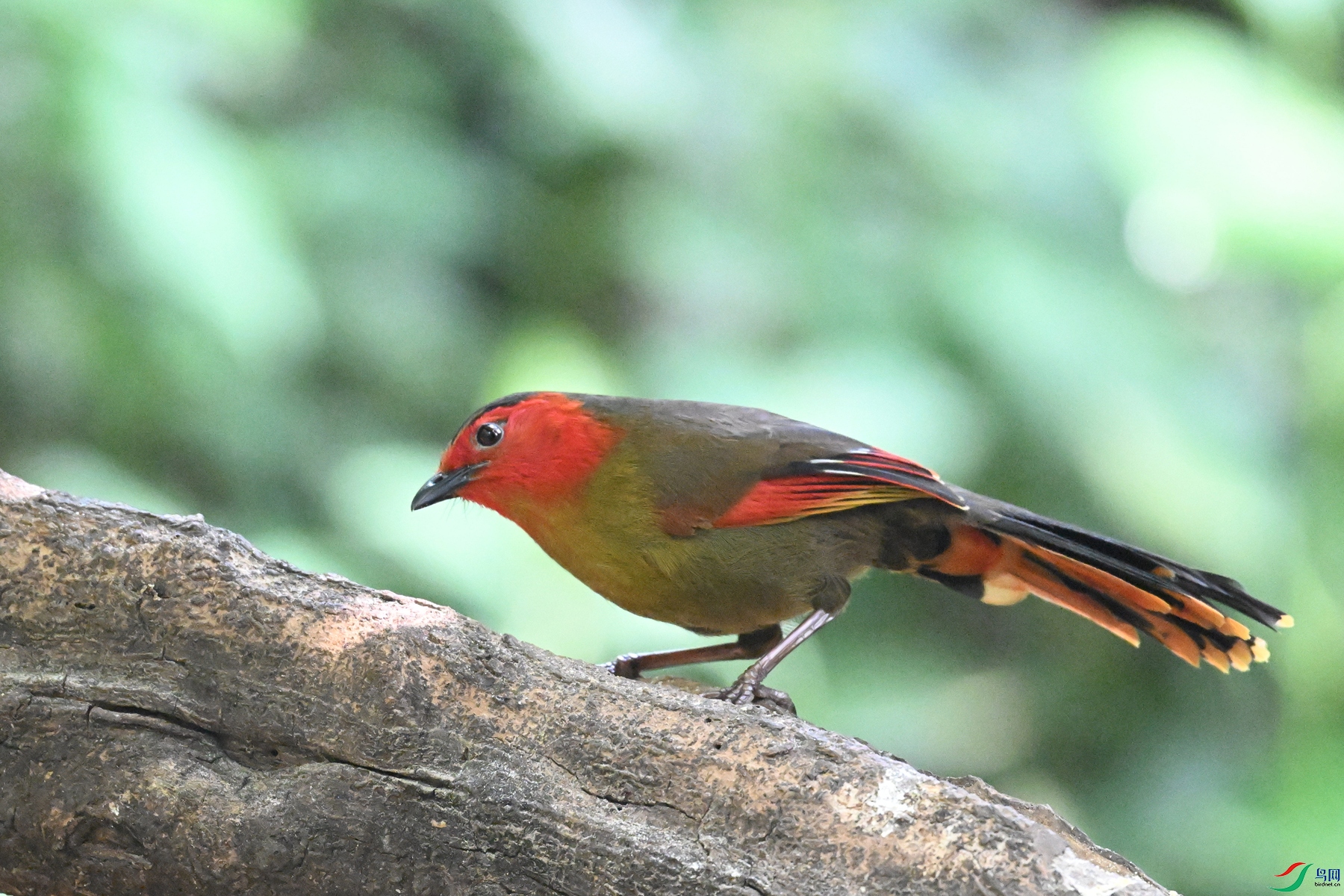 DSC_6311.JPG