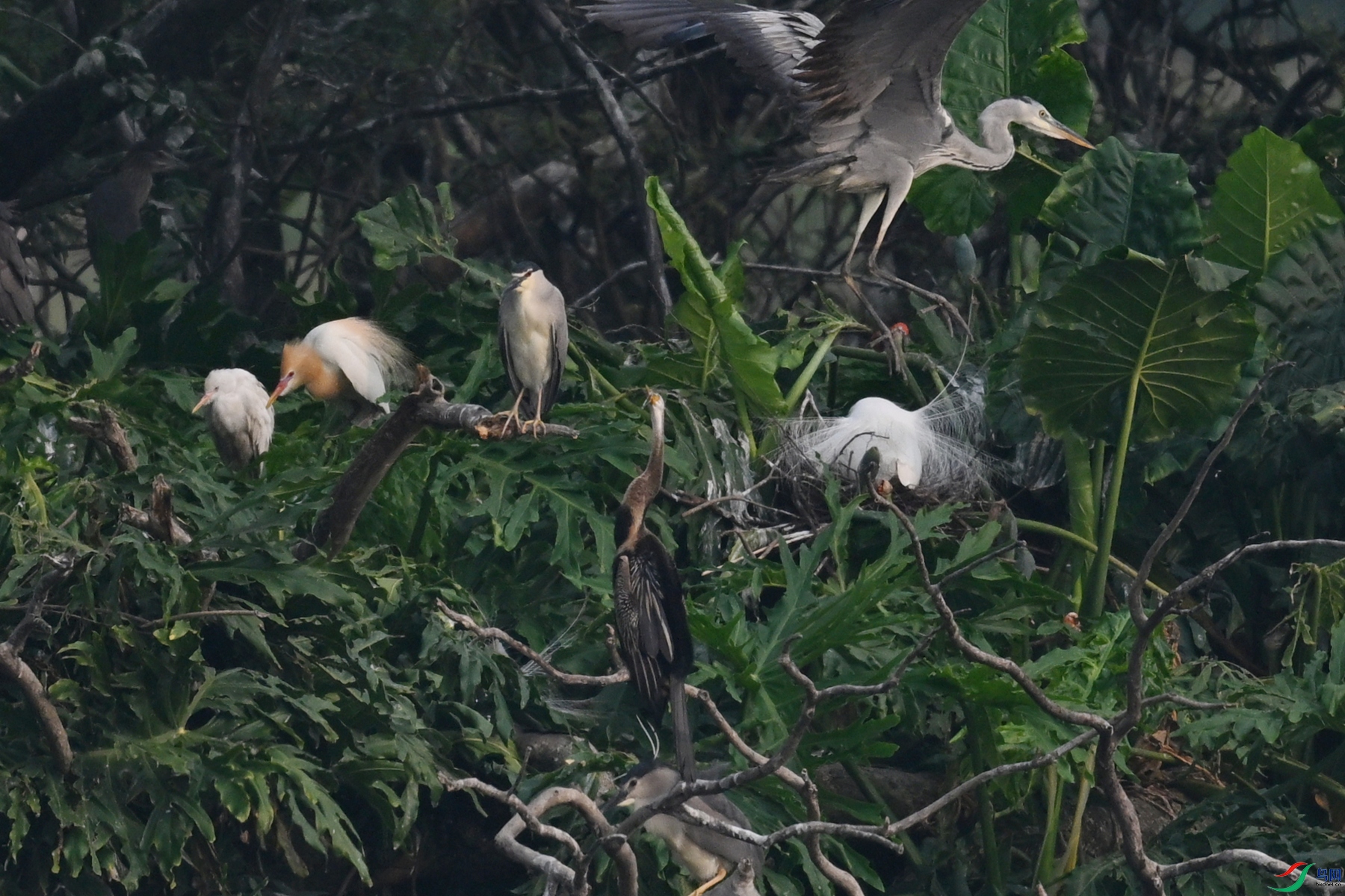 DSC_6277.JPG