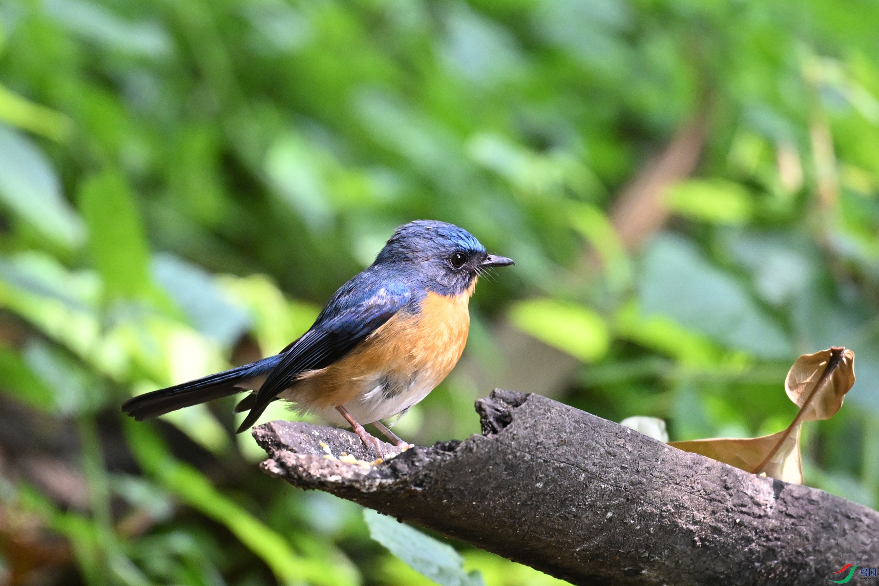DSC_6317.JPG