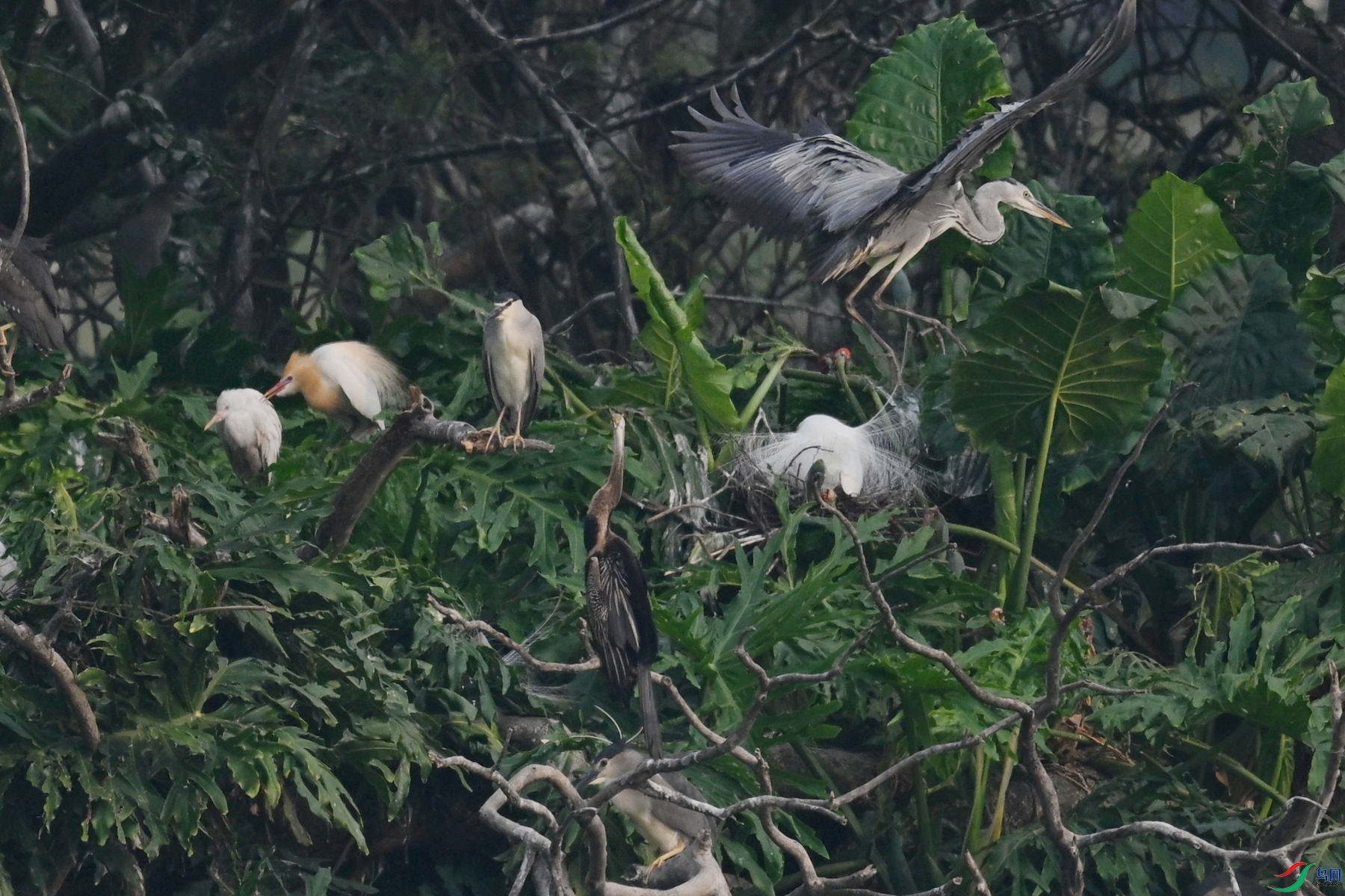 DSC_6279.JPG