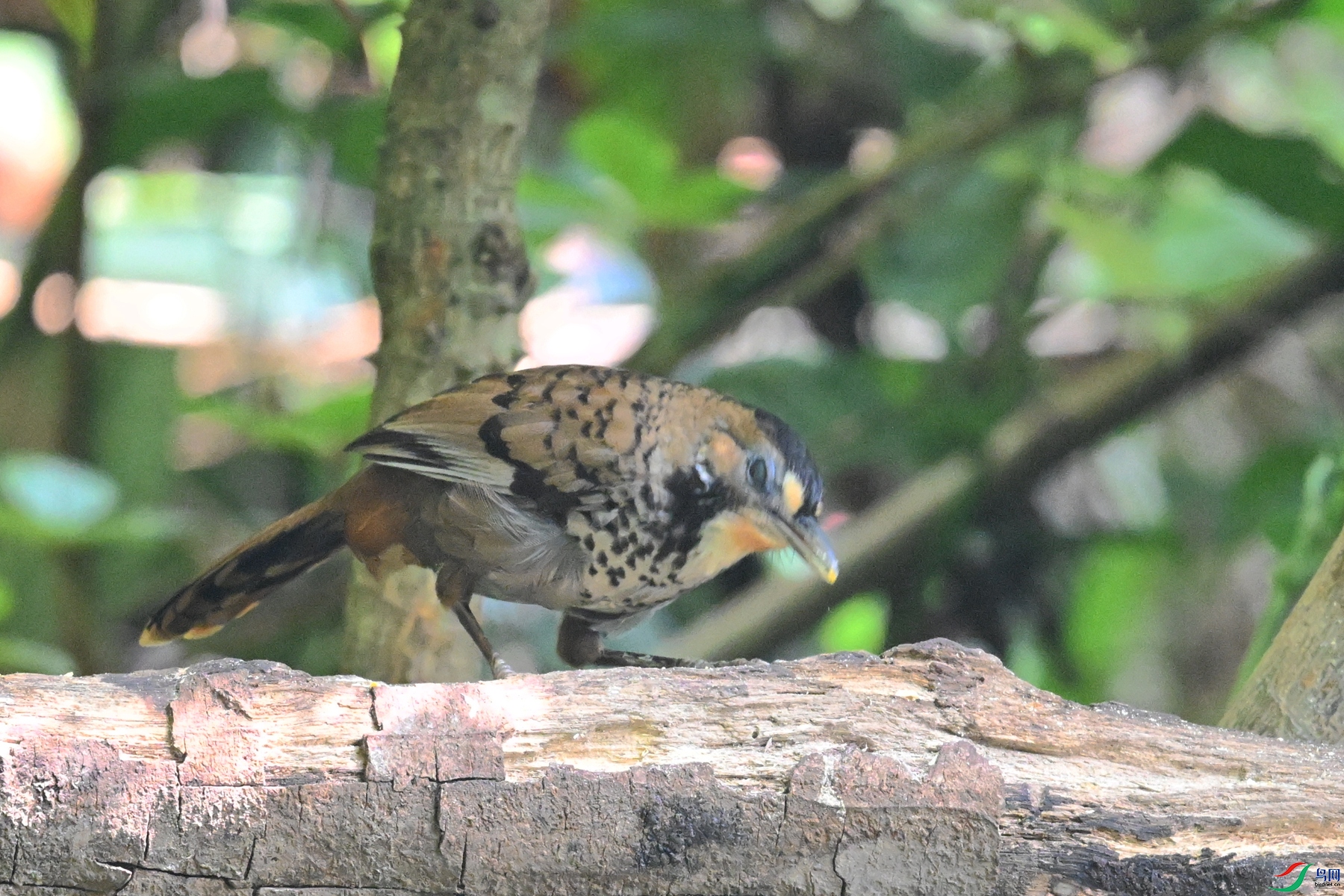 DSC_6322.JPG