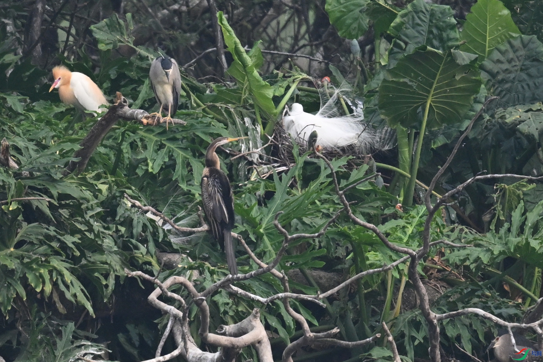 DSC_6283.JPG