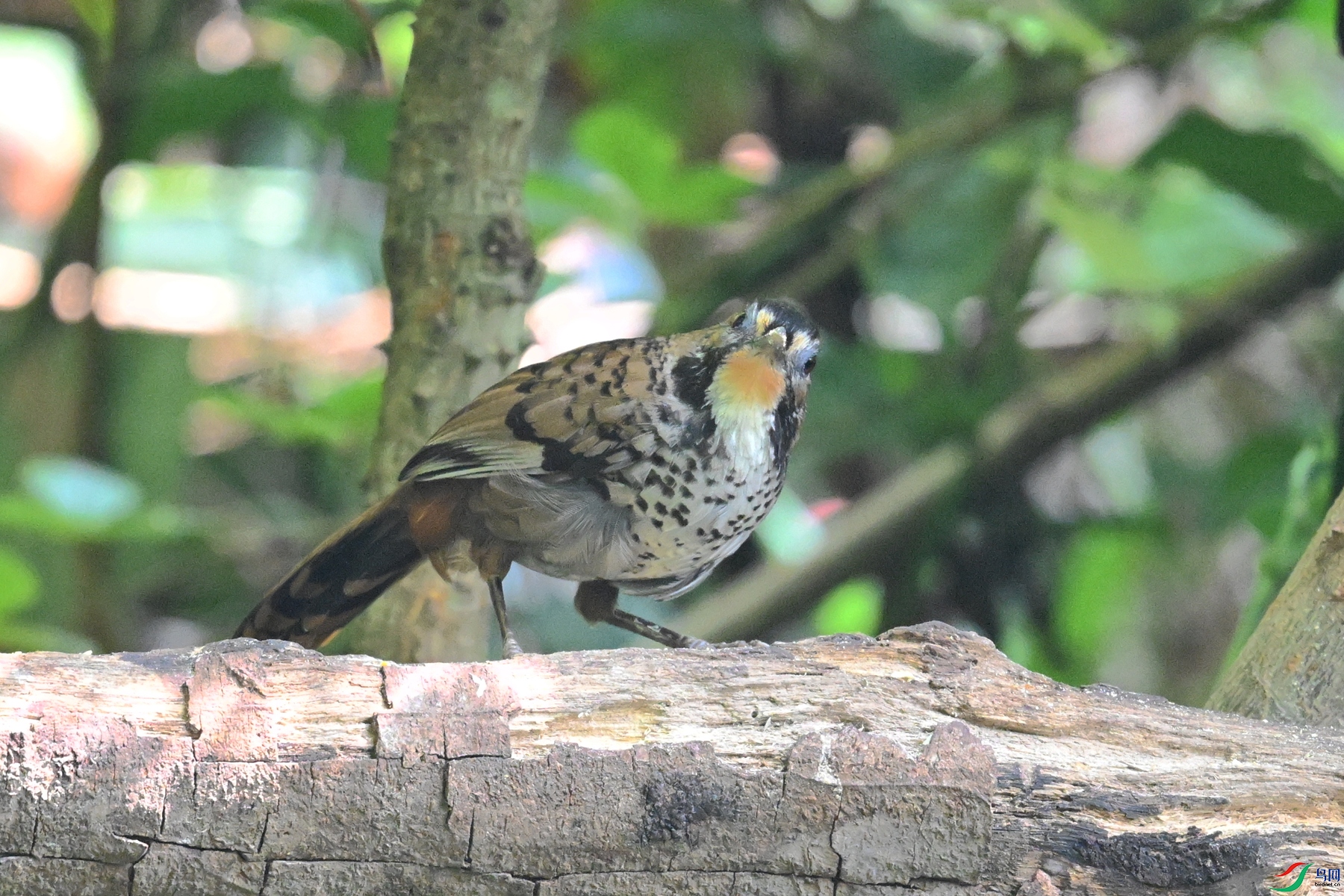 DSC_6328.JPG