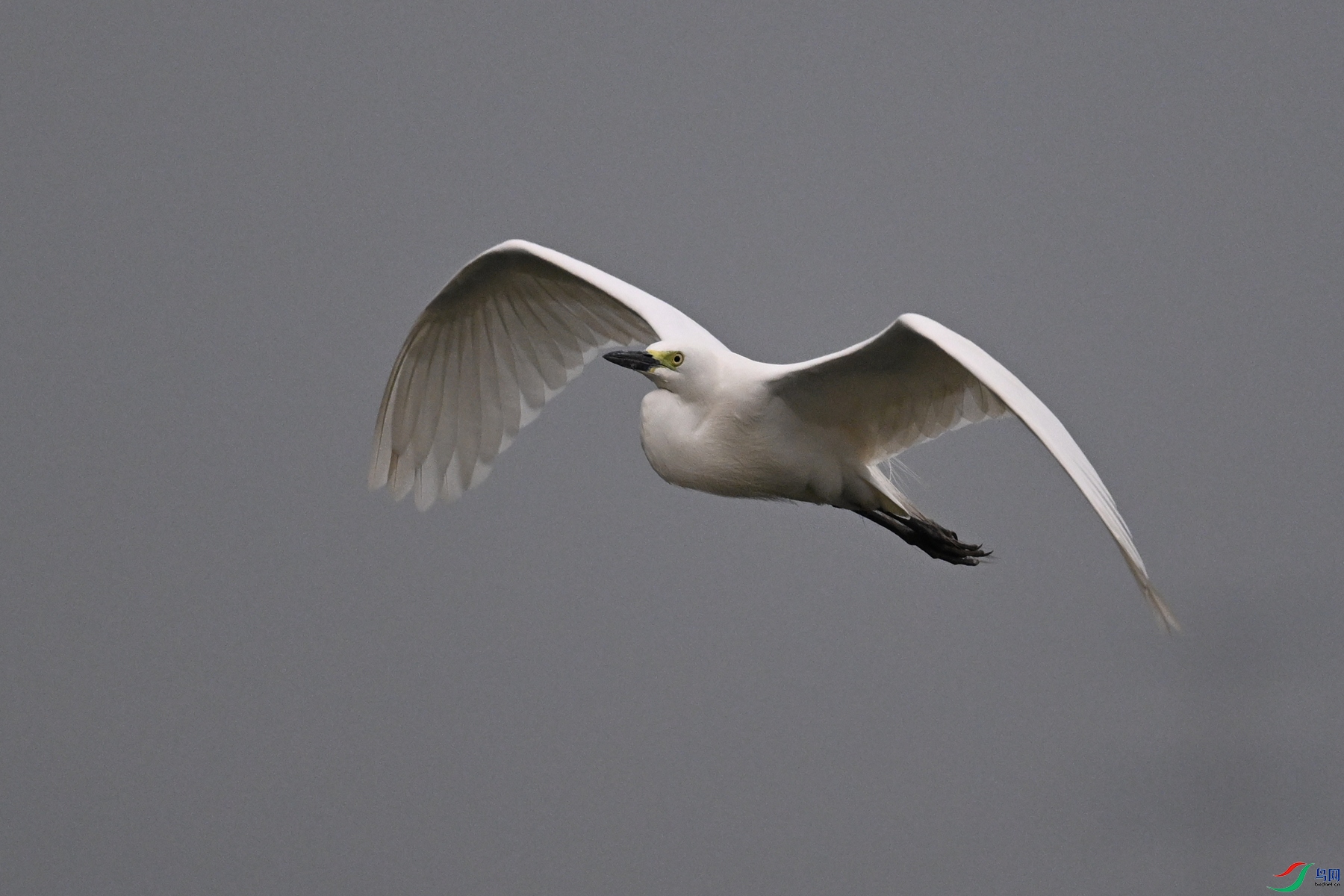 DSC_6294.JPG
