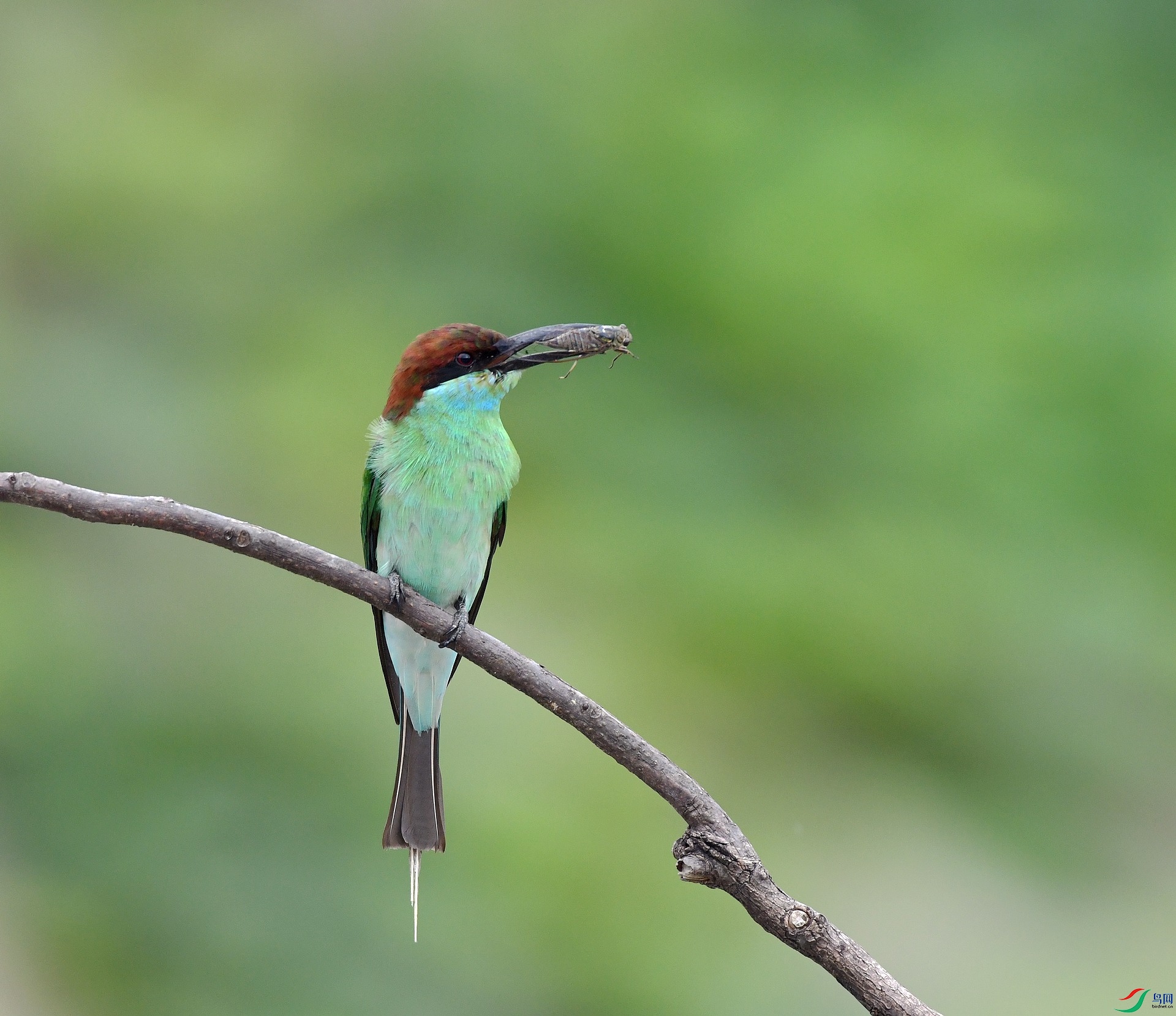 DSC_5736.jpg