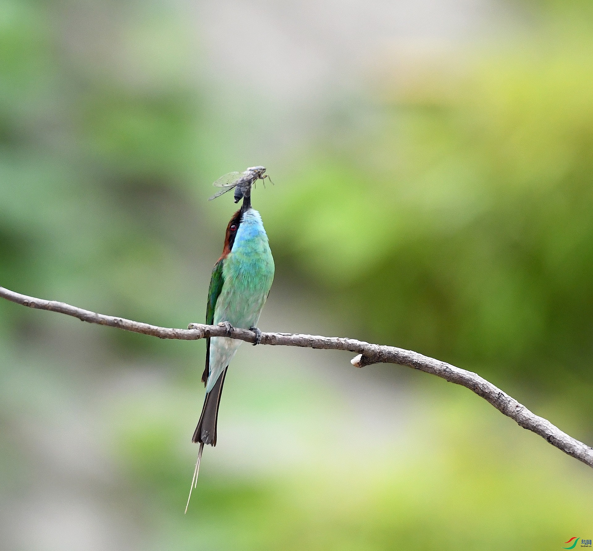 DSC_4814.jpg