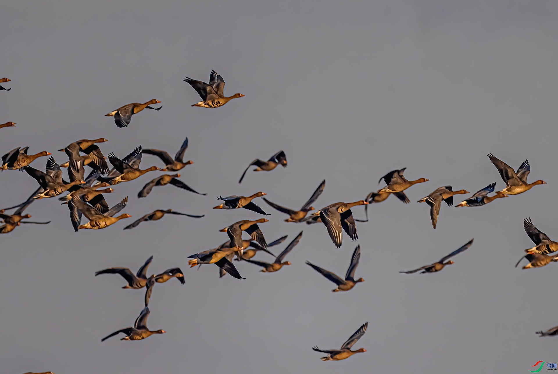DSC_5066-11.jpg