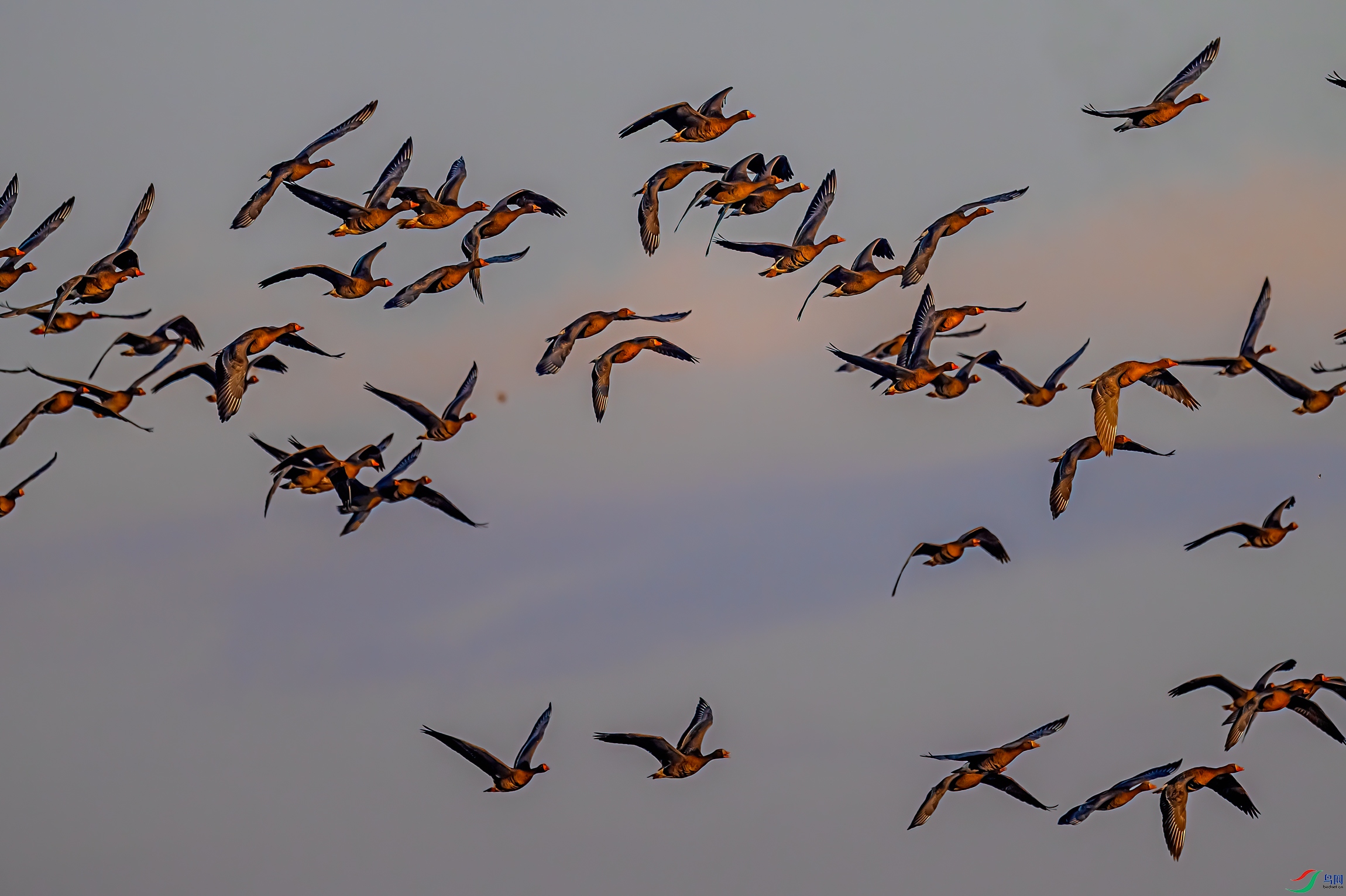DSC_5106-11.jpg