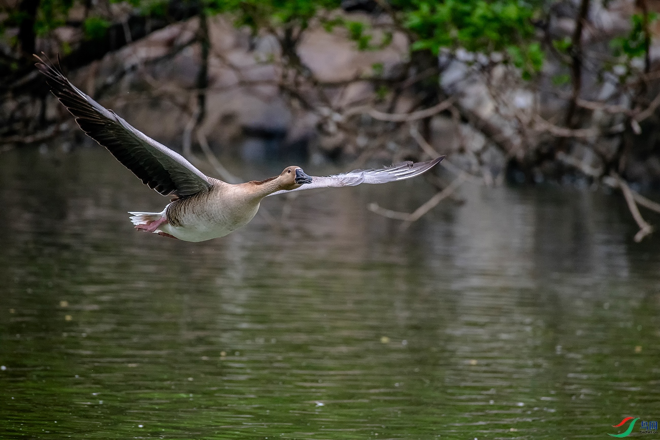 DSC_6912A.jpg
