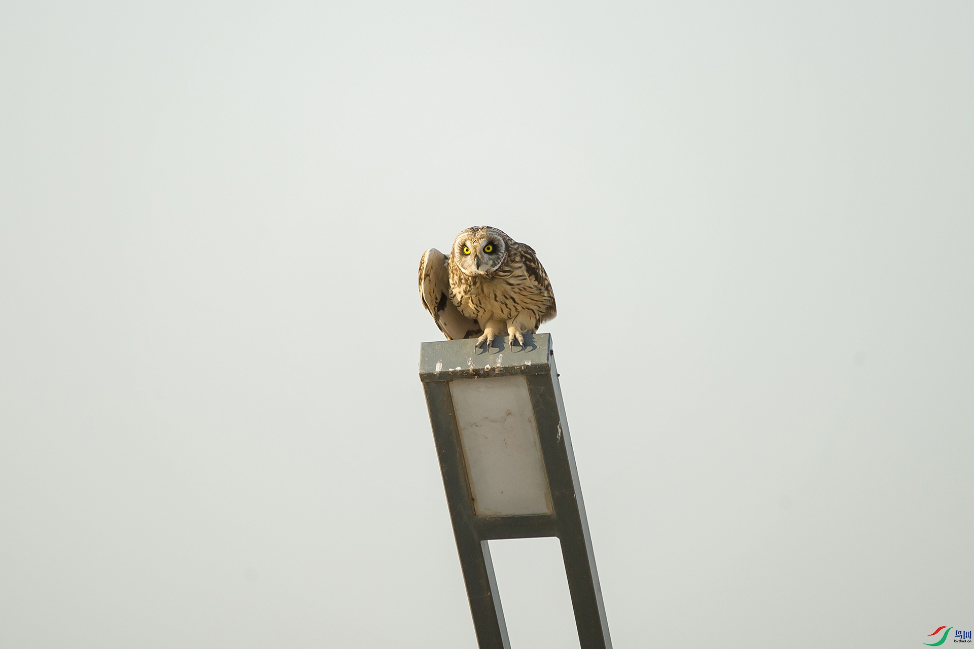 DSC_1028-20201221�ü�.jpg