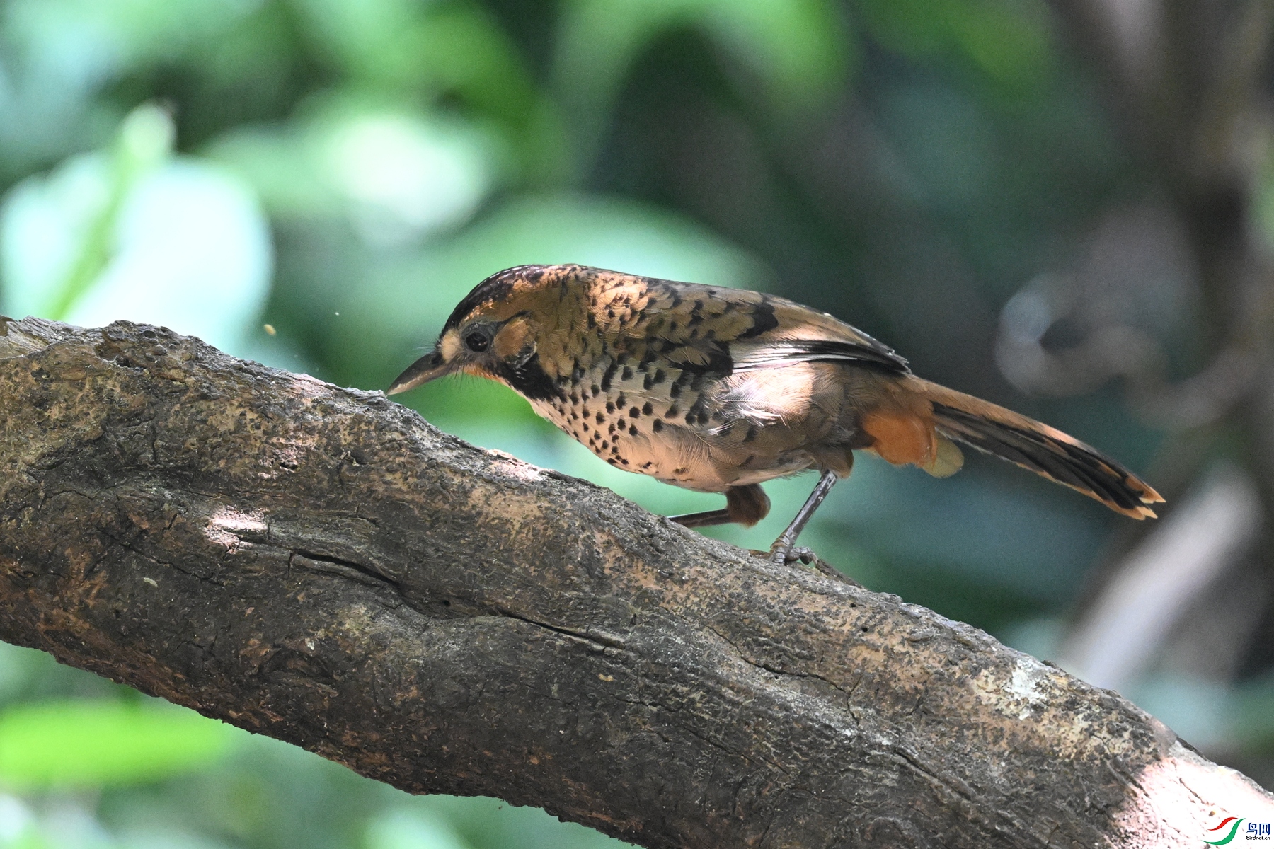 DSC_6349.JPG