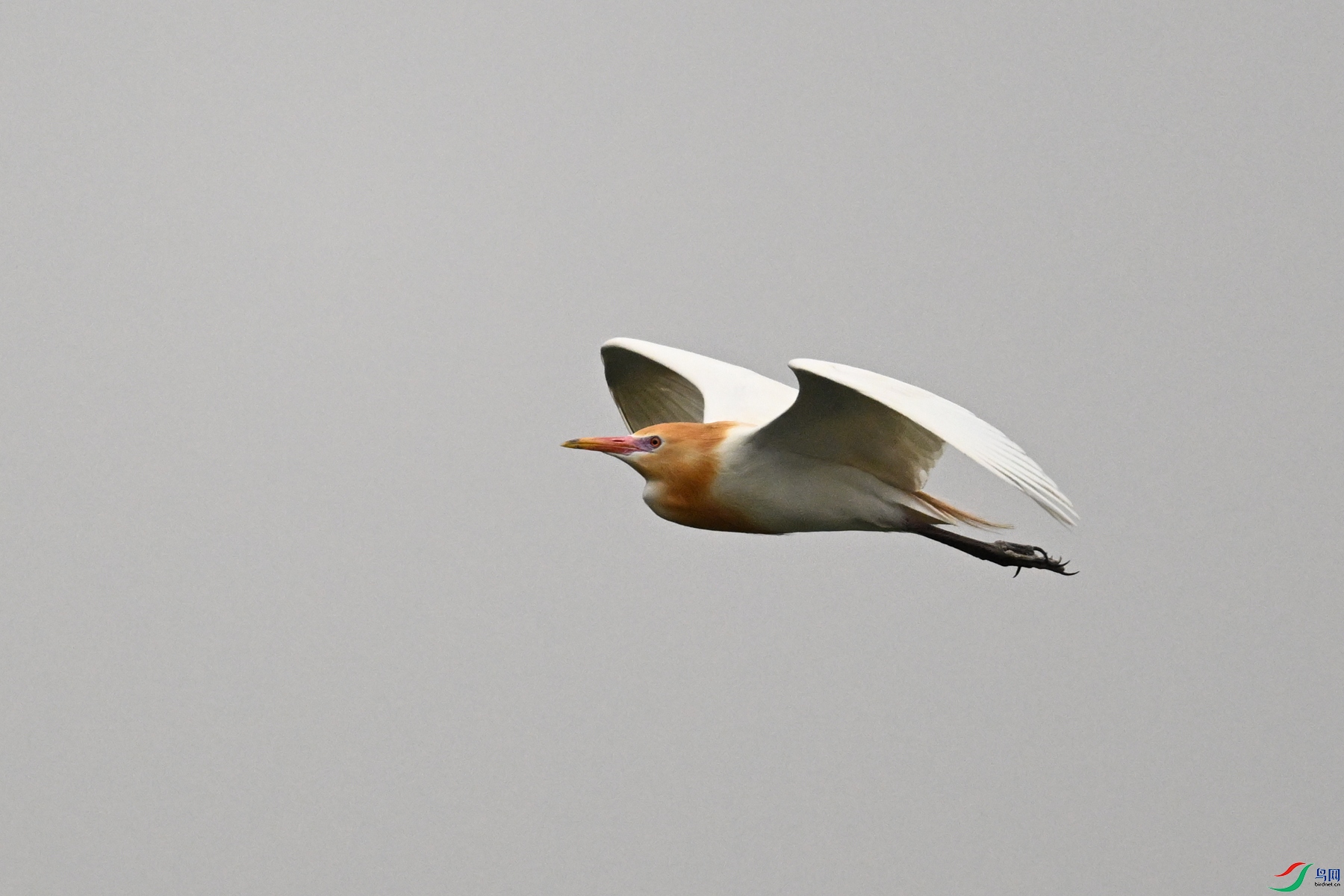 DSC_6297.JPG