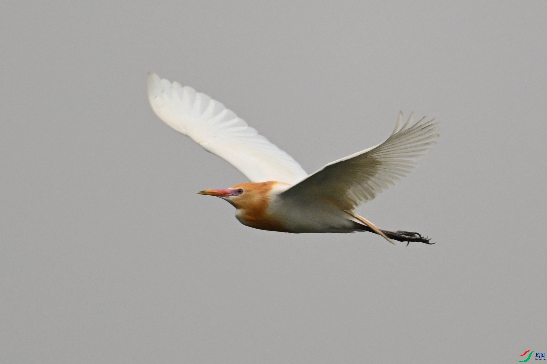 DSC_6299.JPG