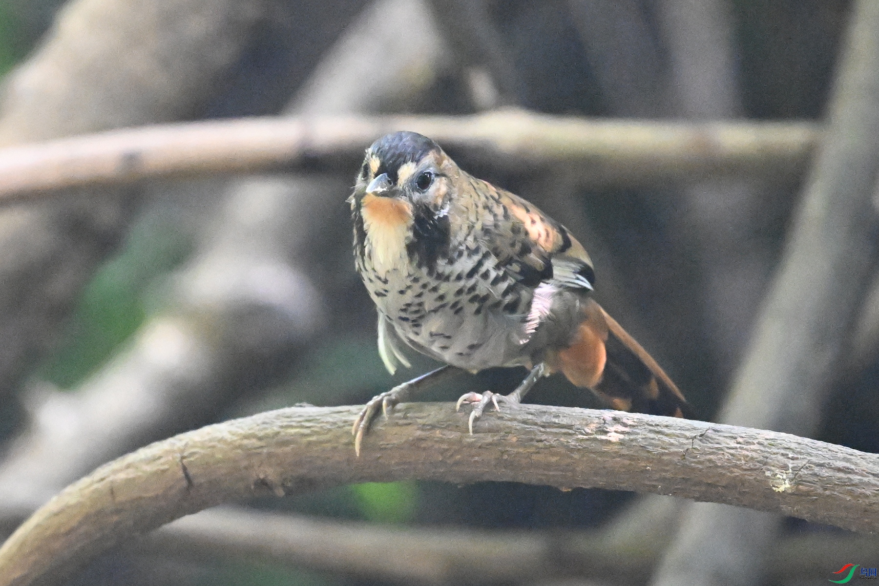 DSC_6340.JPG