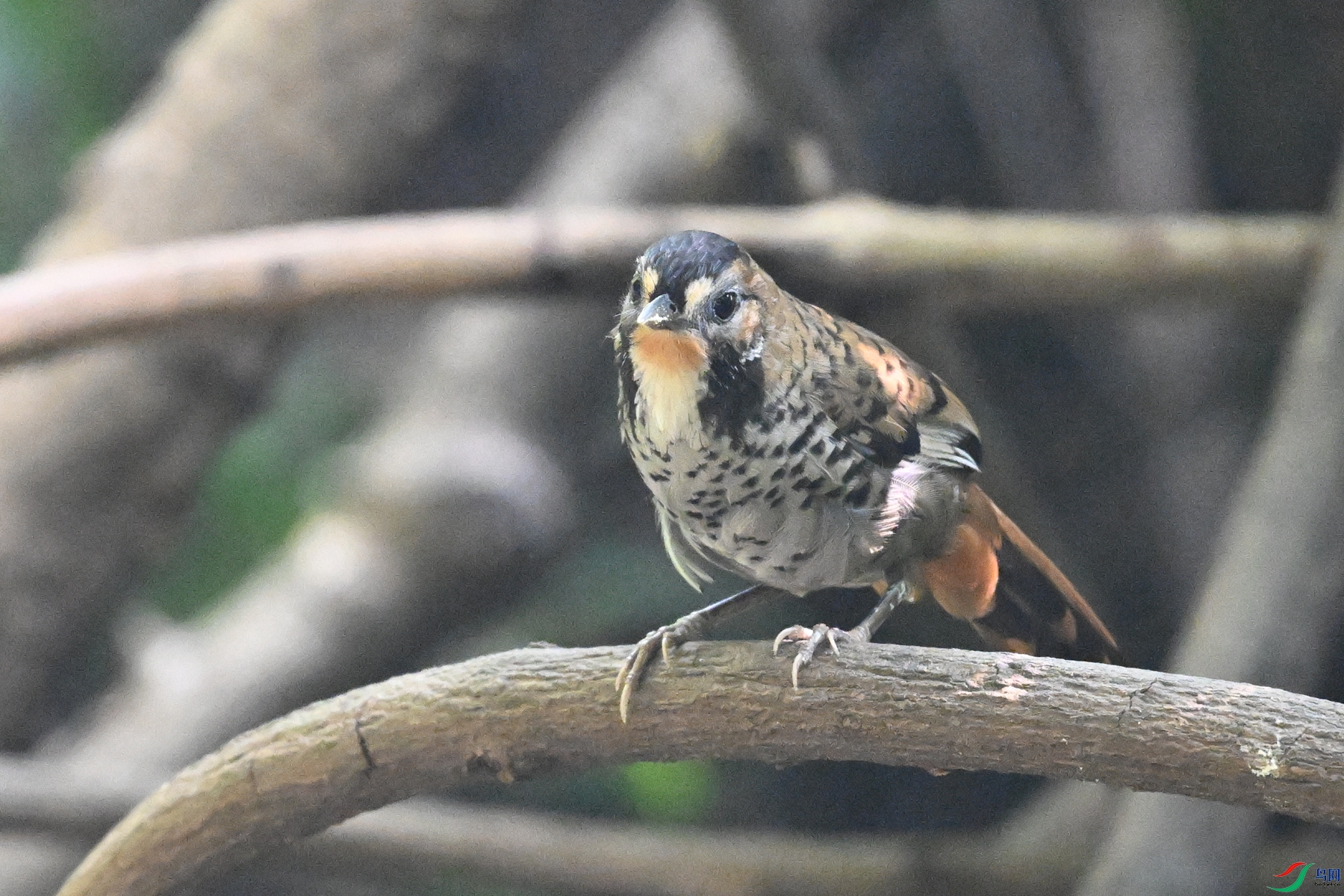 DSC_6341.JPG