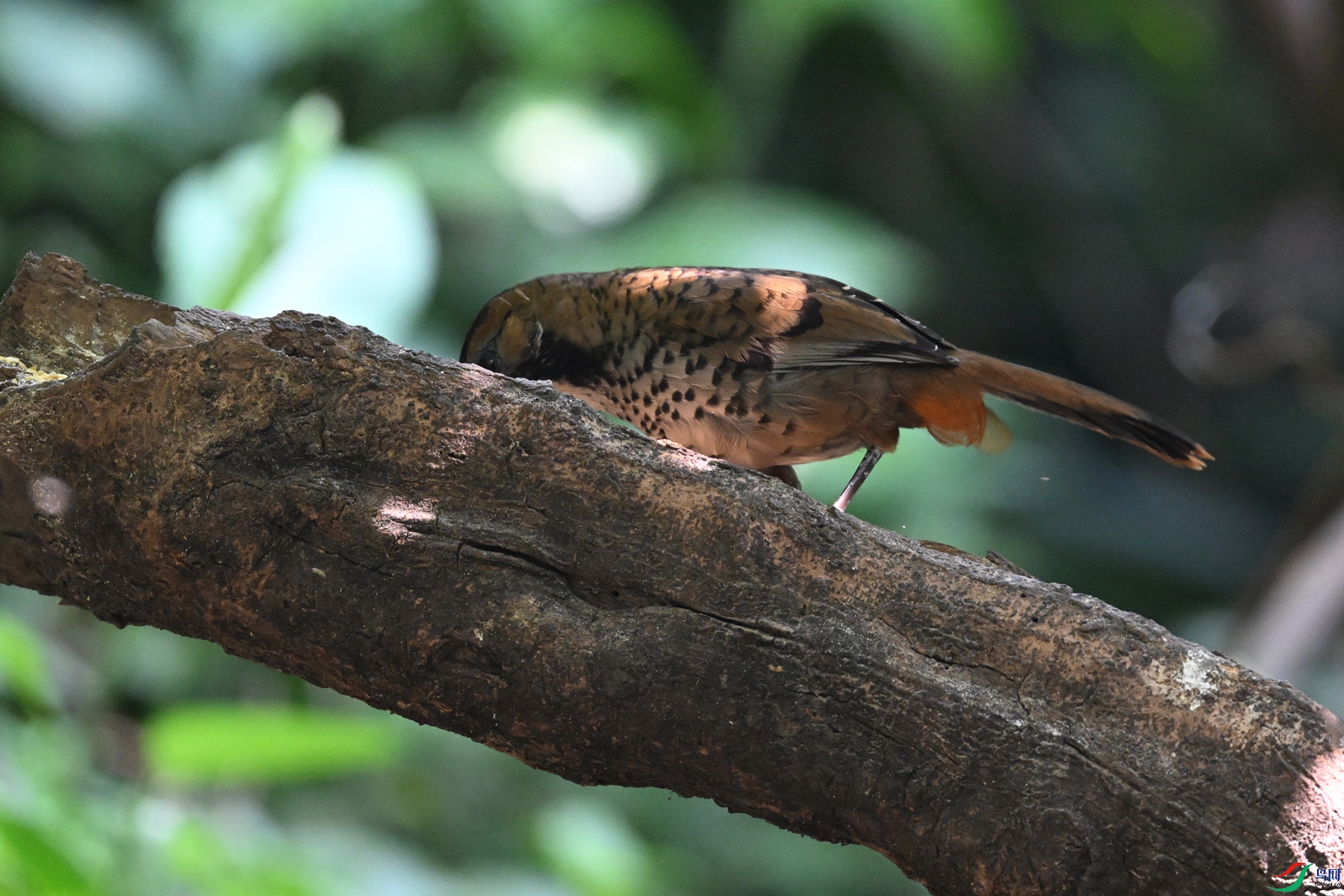DSC_6357.JPG