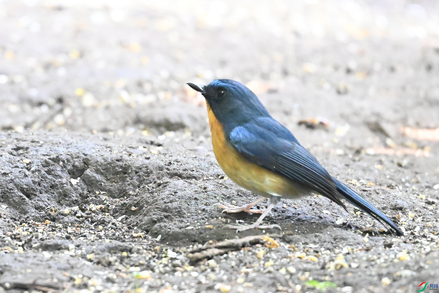 DSC_6308.JPG