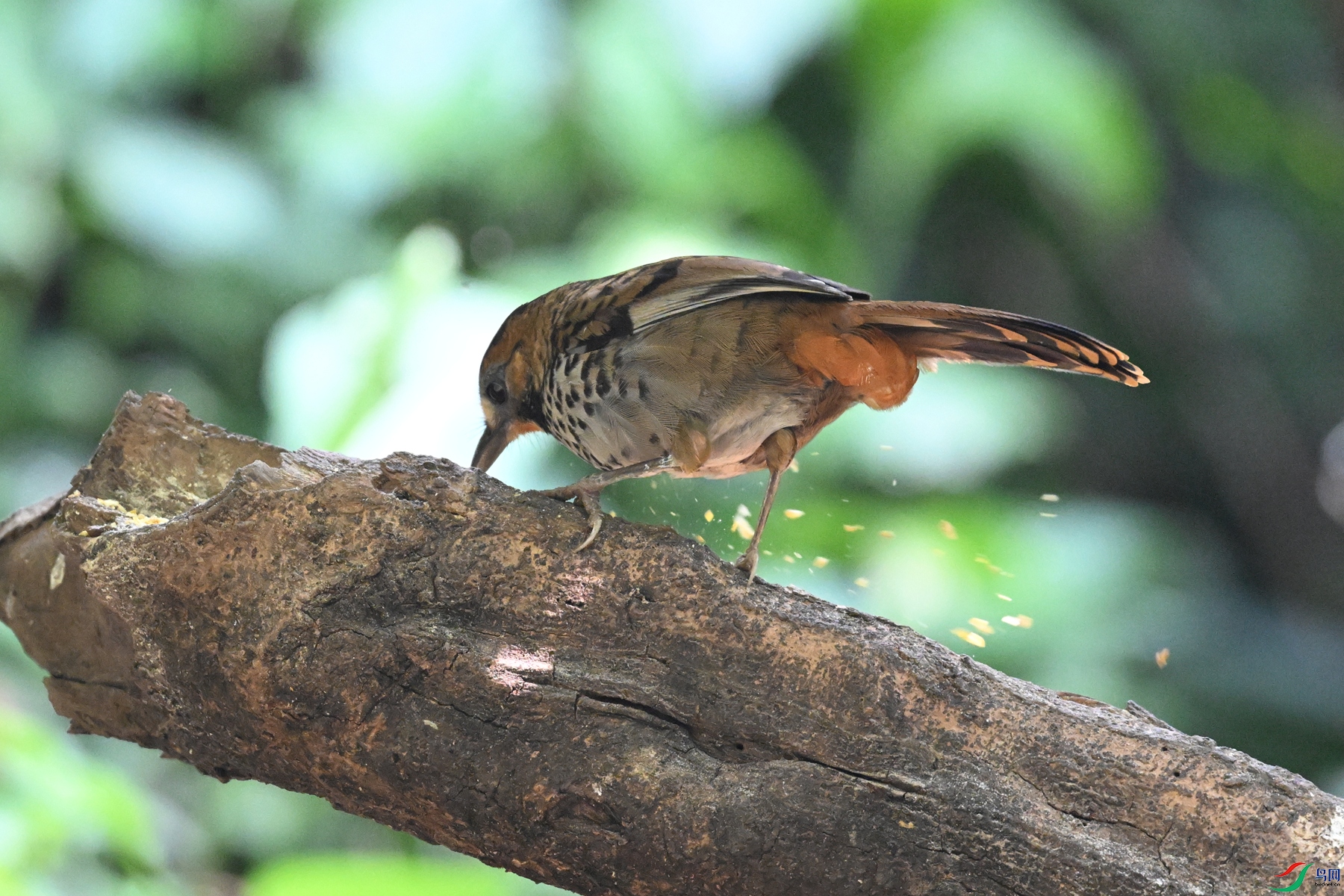 DSC_6360.JPG