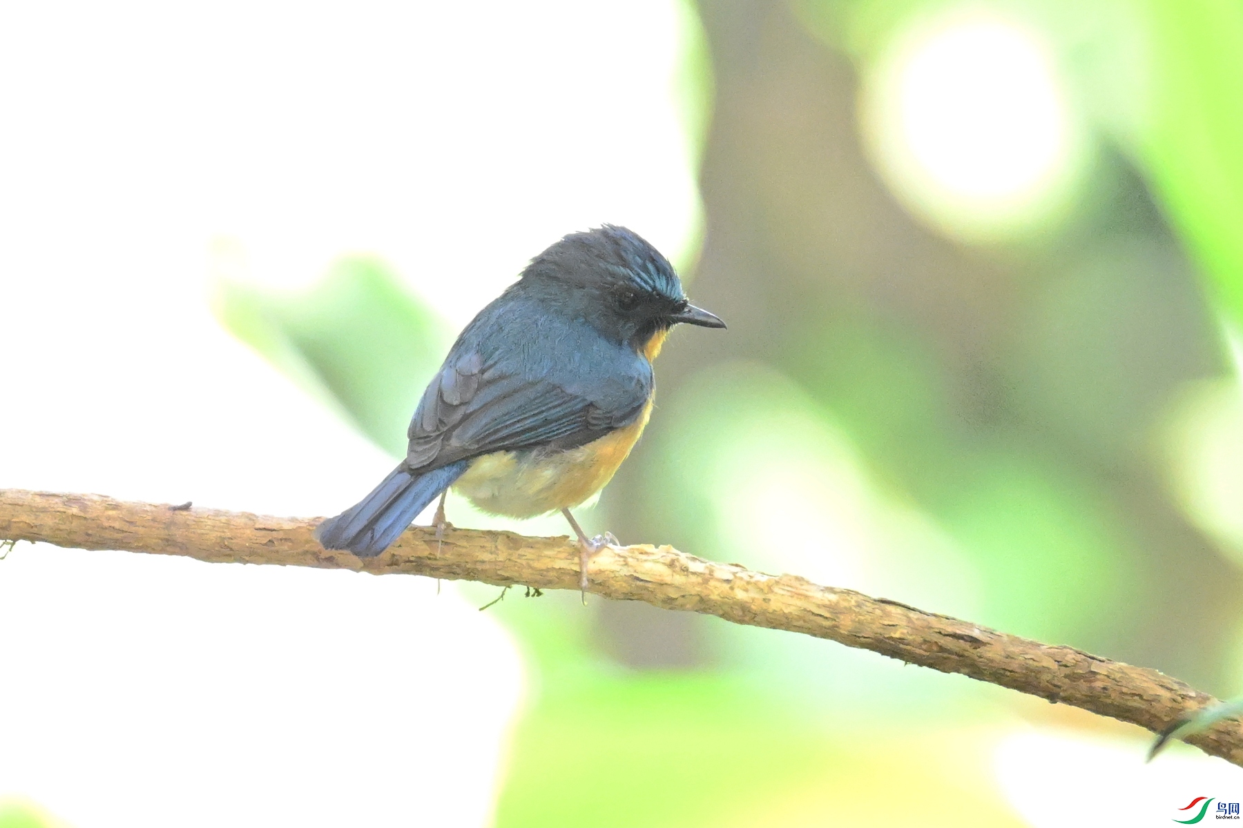DSC_6315.JPG