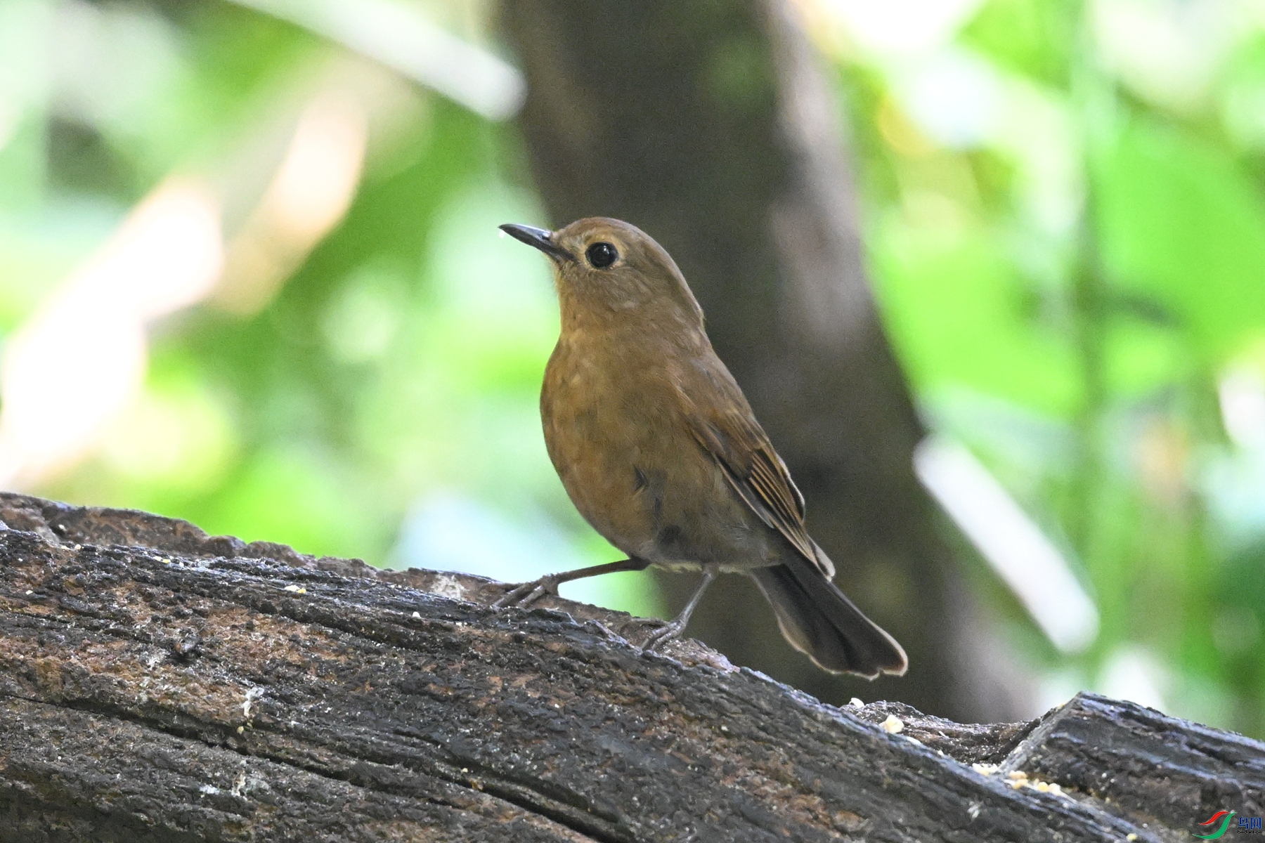 DSC_6321.JPG