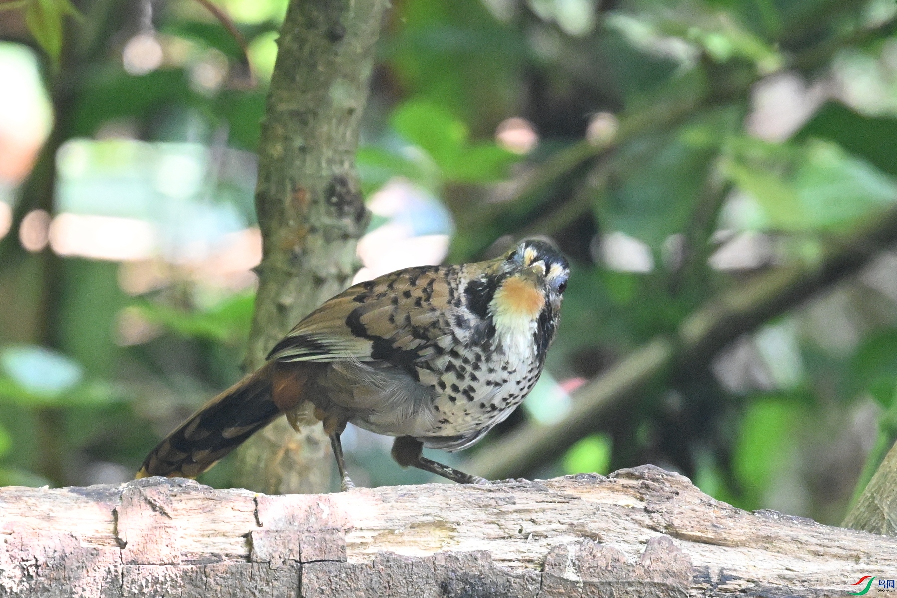 DSC_6326.JPG
