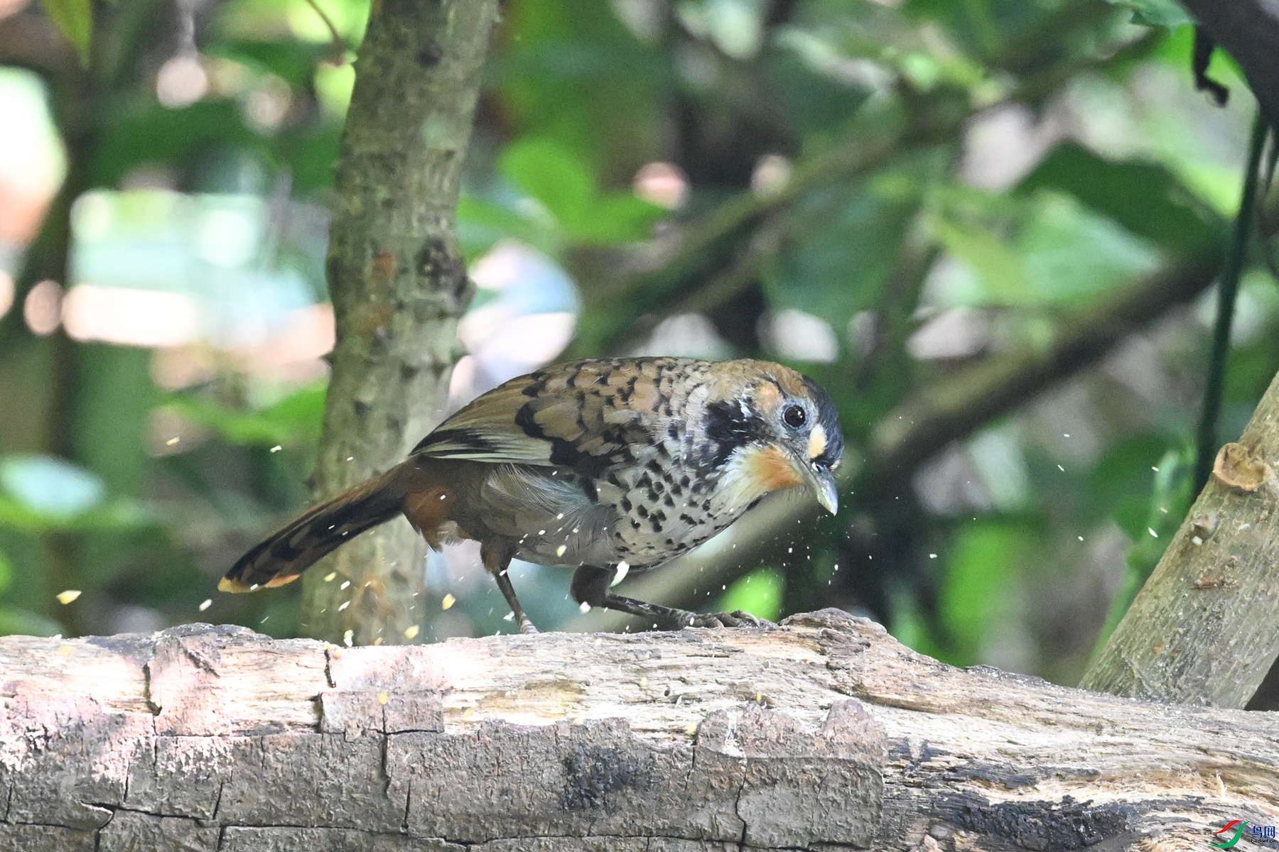 DSC_6330.JPG