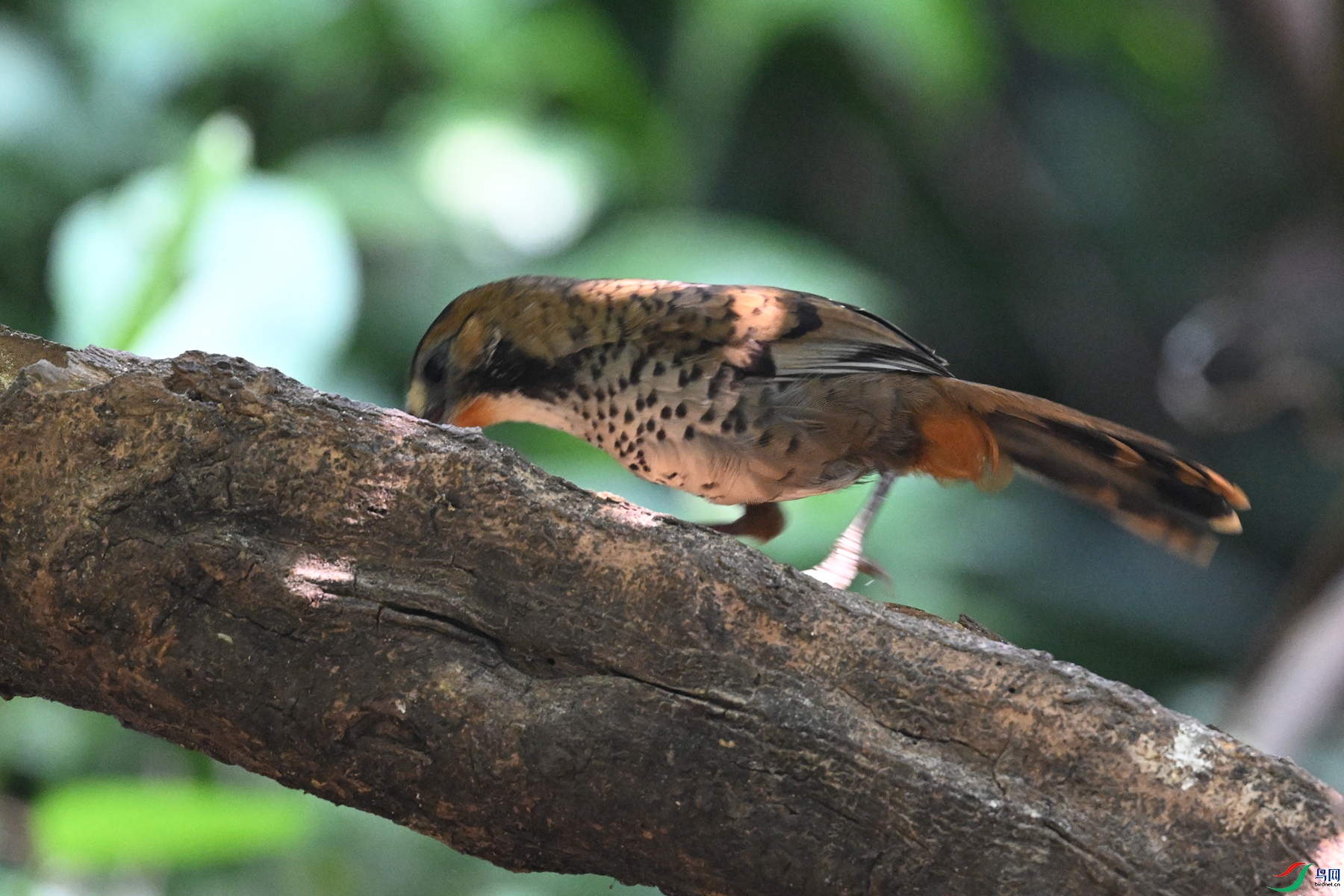DSC_6356.JPG