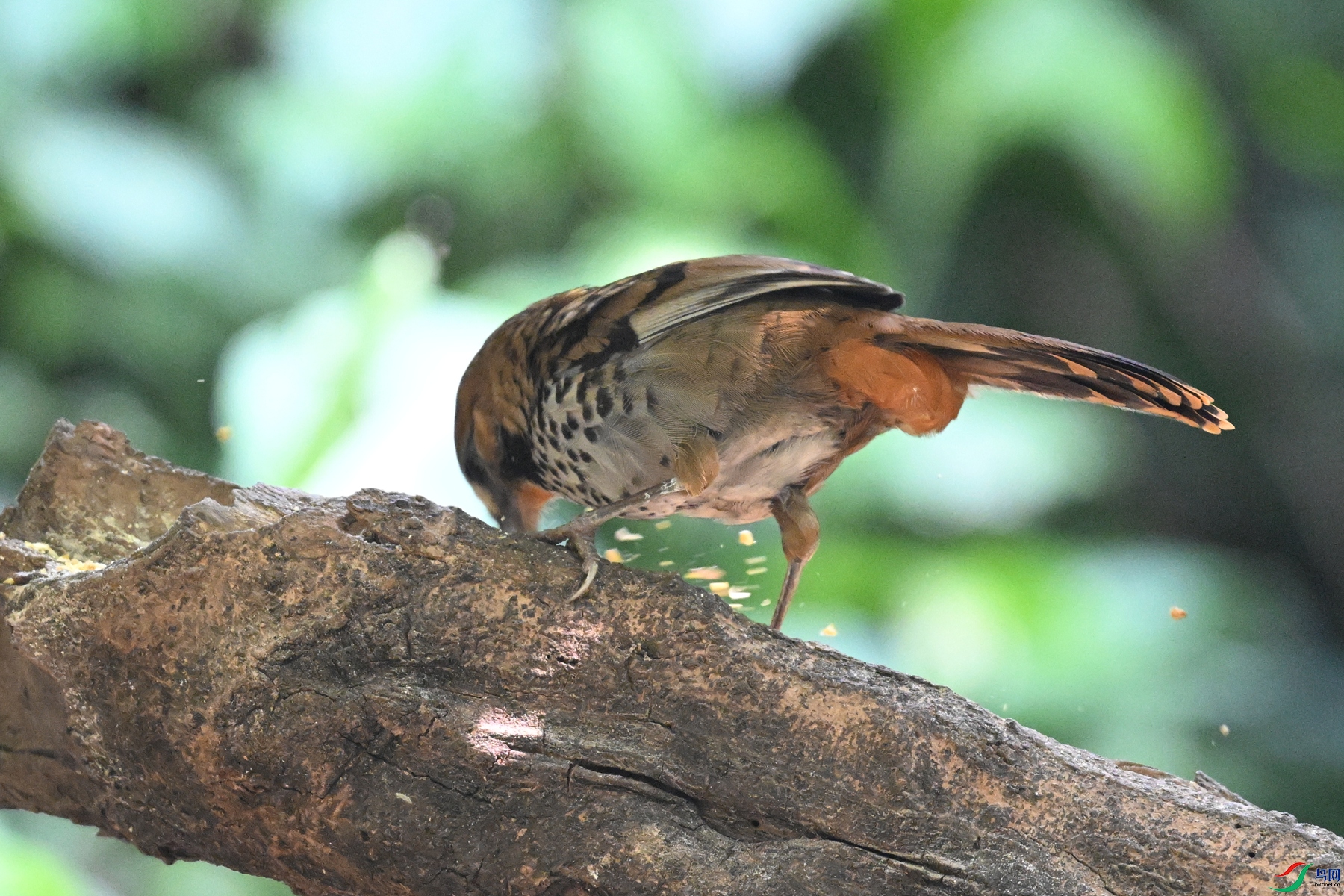 DSC_6359.JPG