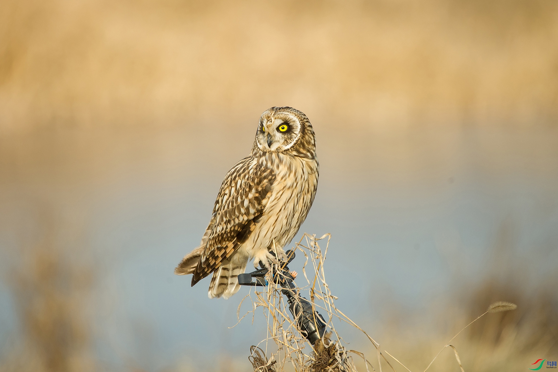 DSC_1035-20201221�ü�.jpg