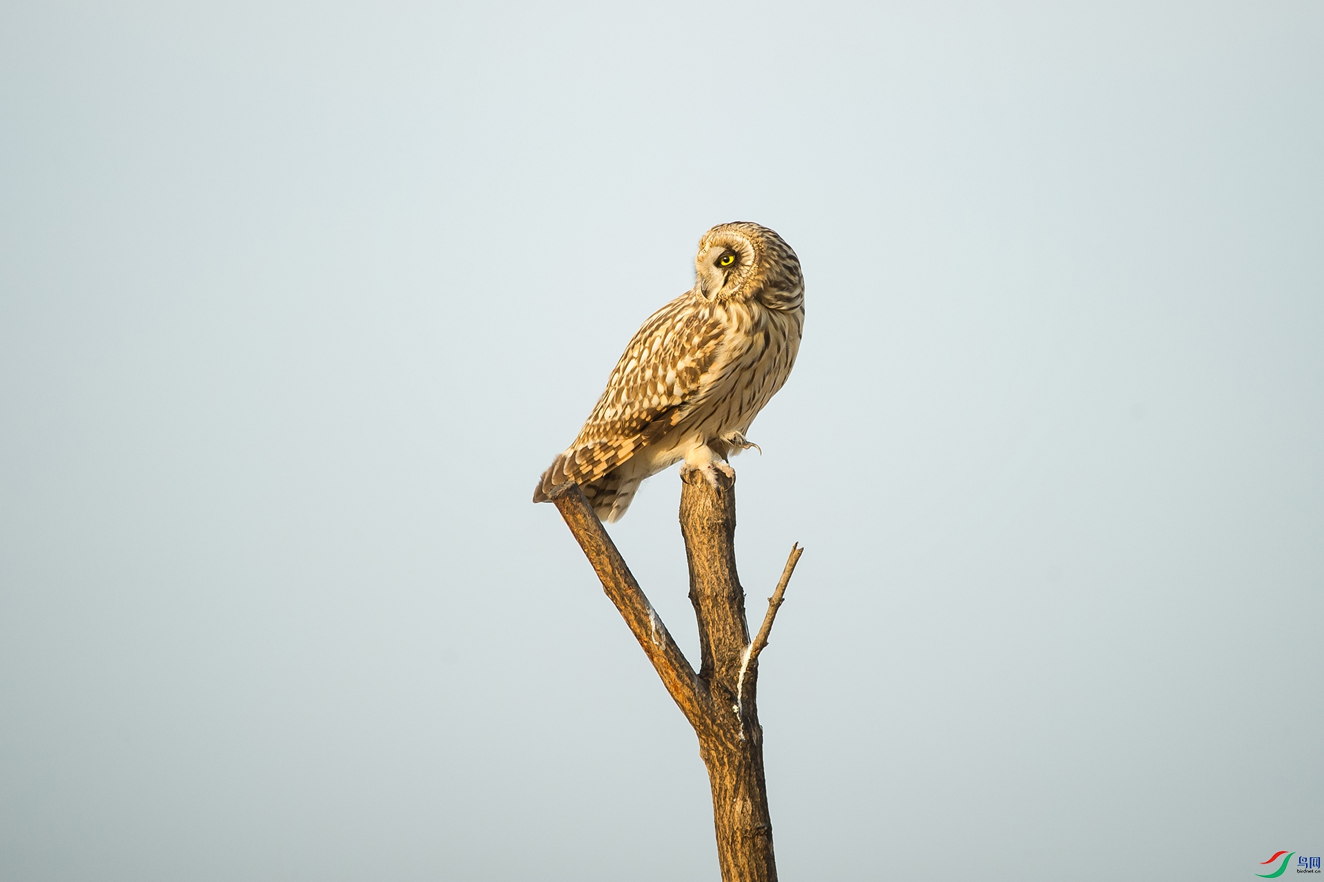 DSC_1111-20201221�ü�.jpg