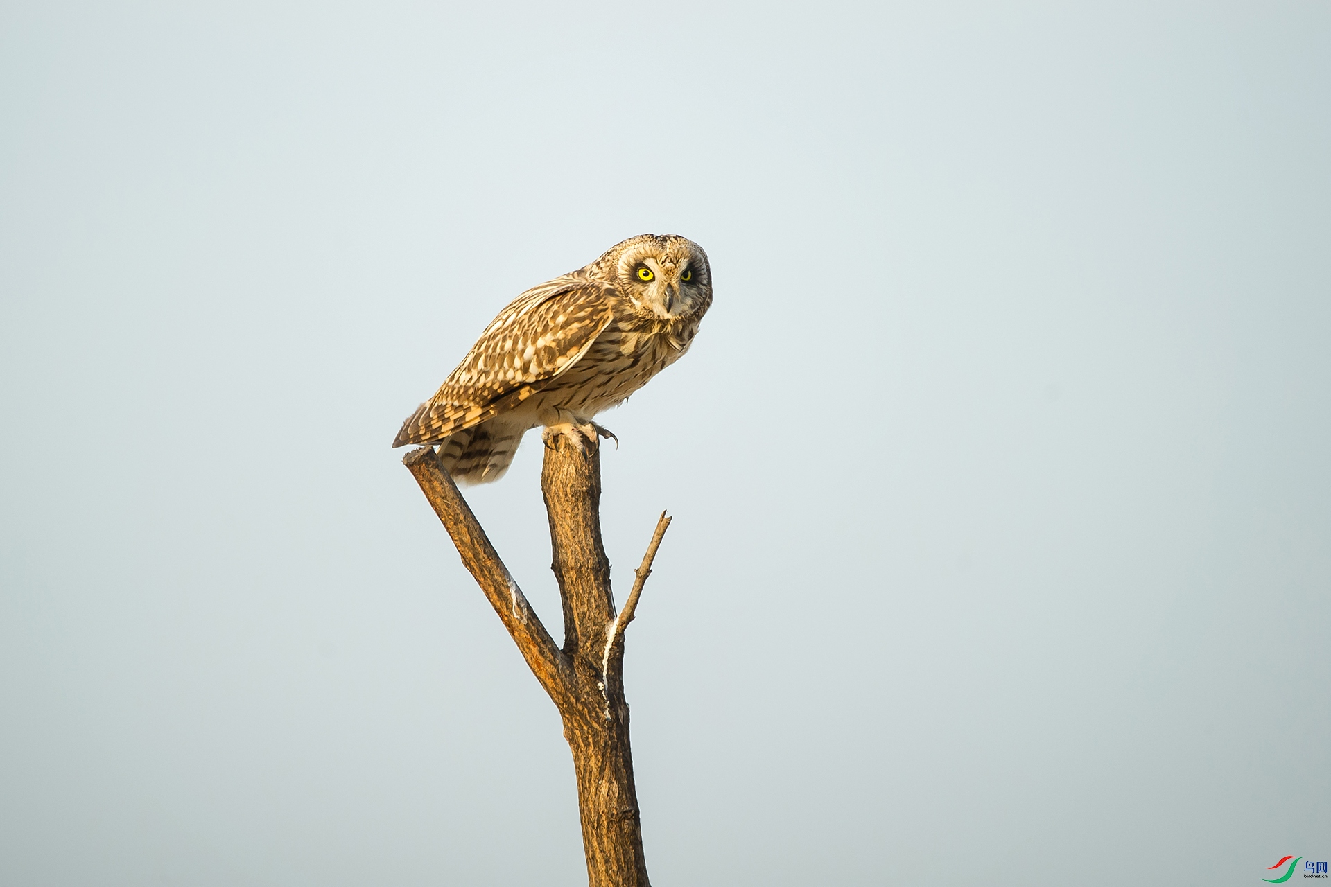 DSC_1113-20201221�ü�.jpg
