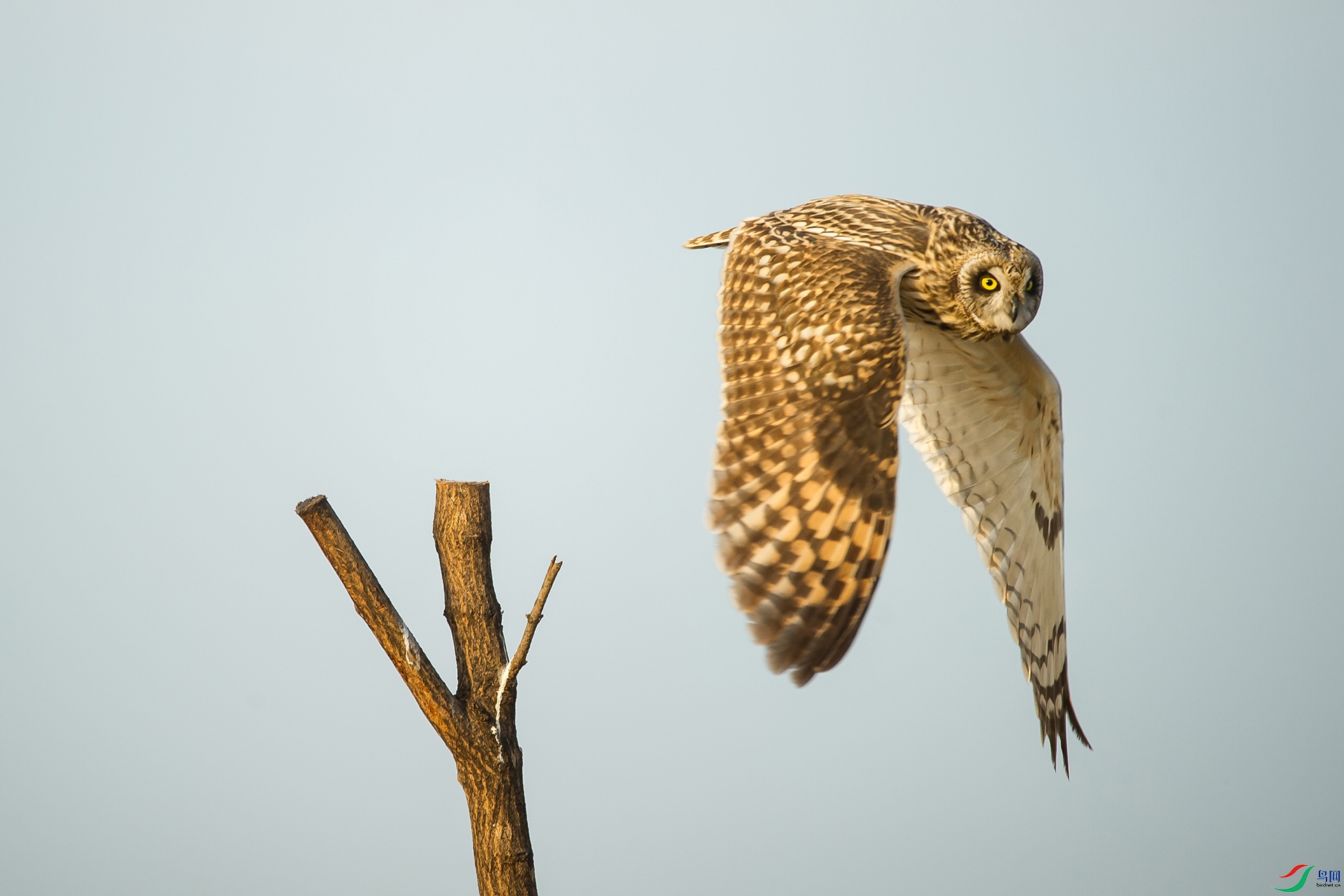 DSC_1115-20201221�ü�.jpg