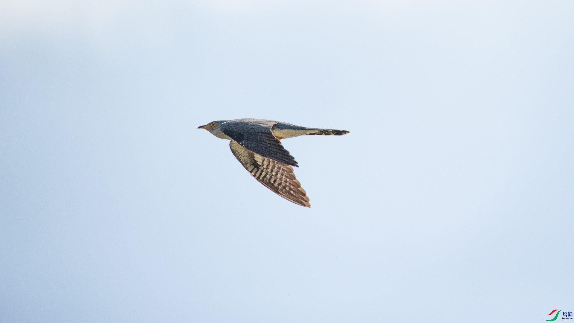 A48Z8574.jpg