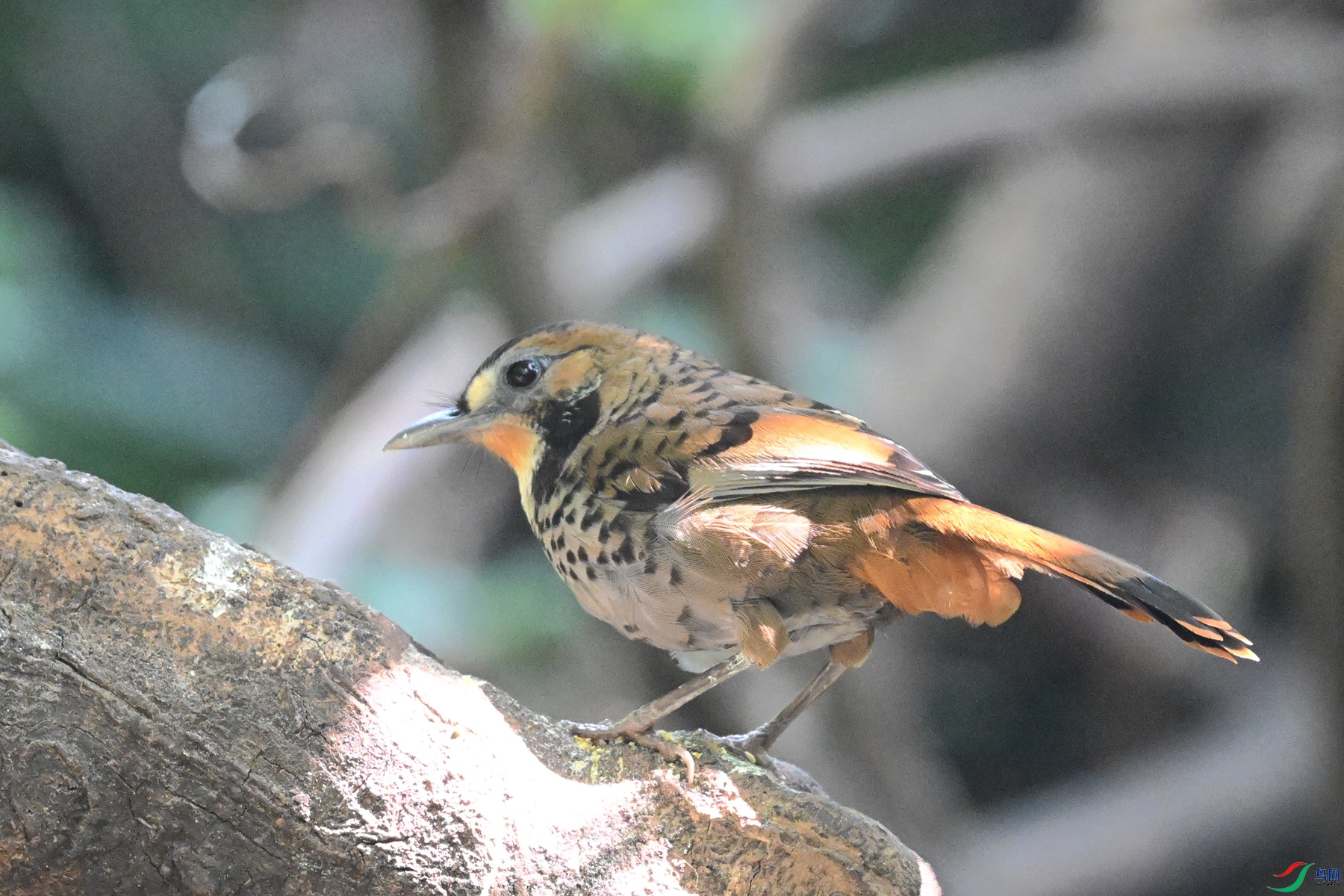 DSC_6344.JPG