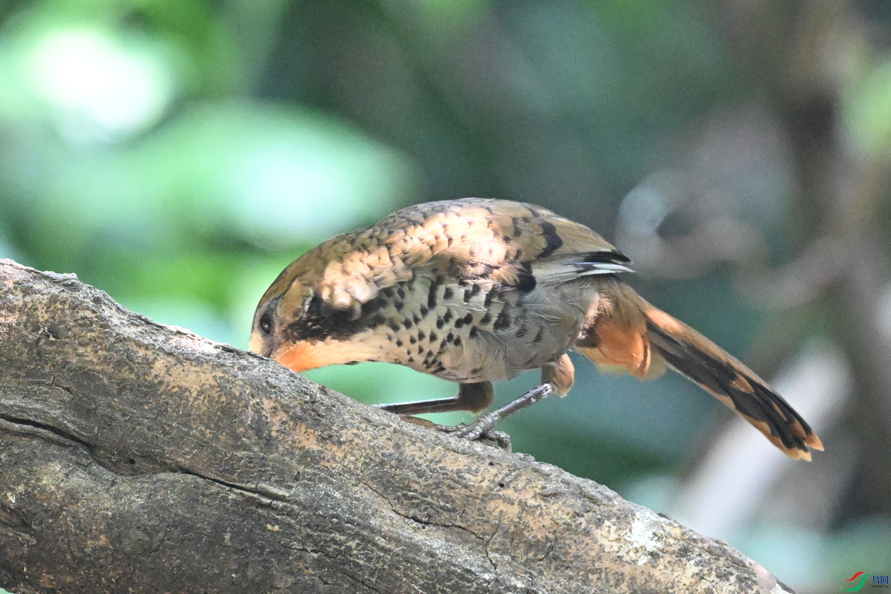 DSC_6348.JPG