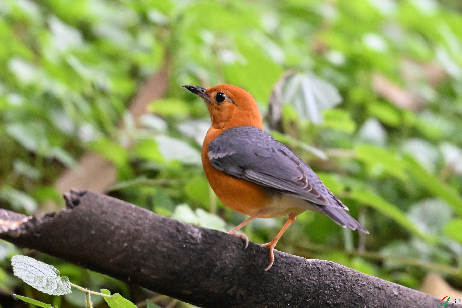 DSC_6391.JPG
