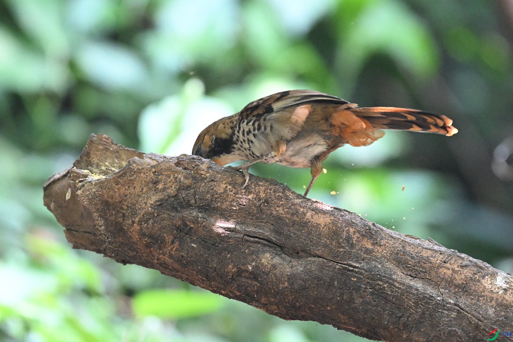 DSC_6358.JPG