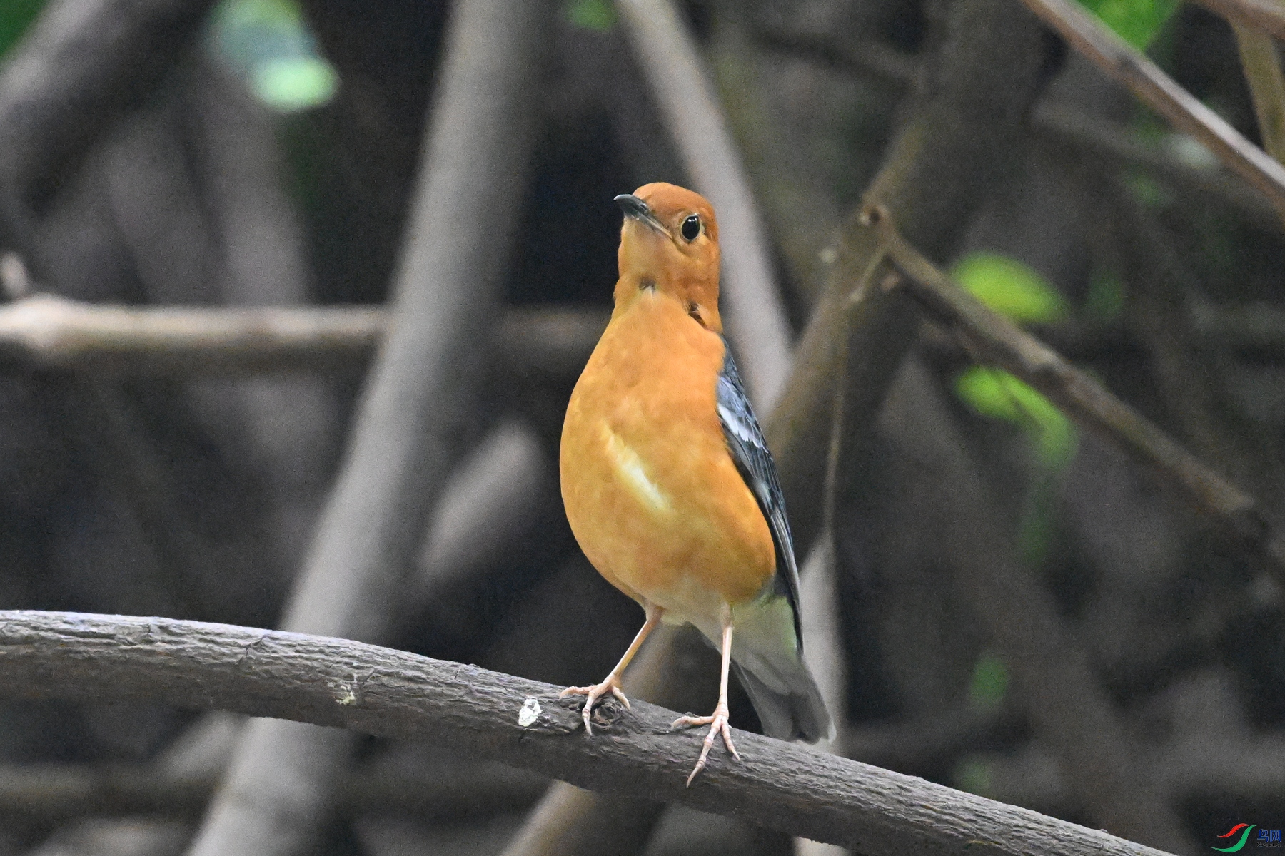 DSC_6376.JPG
