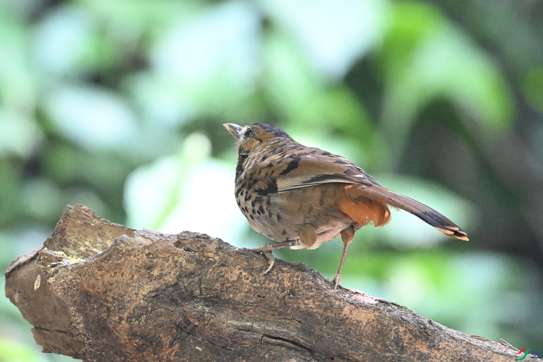 DSC_6361.JPG