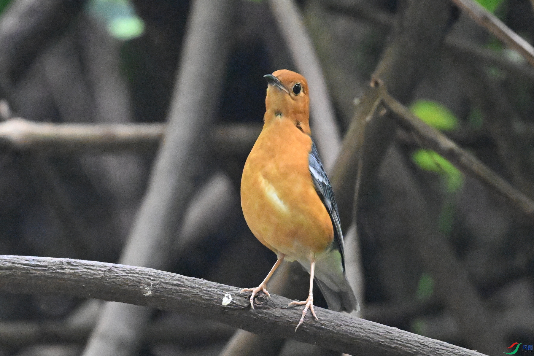 DSC_6377.JPG